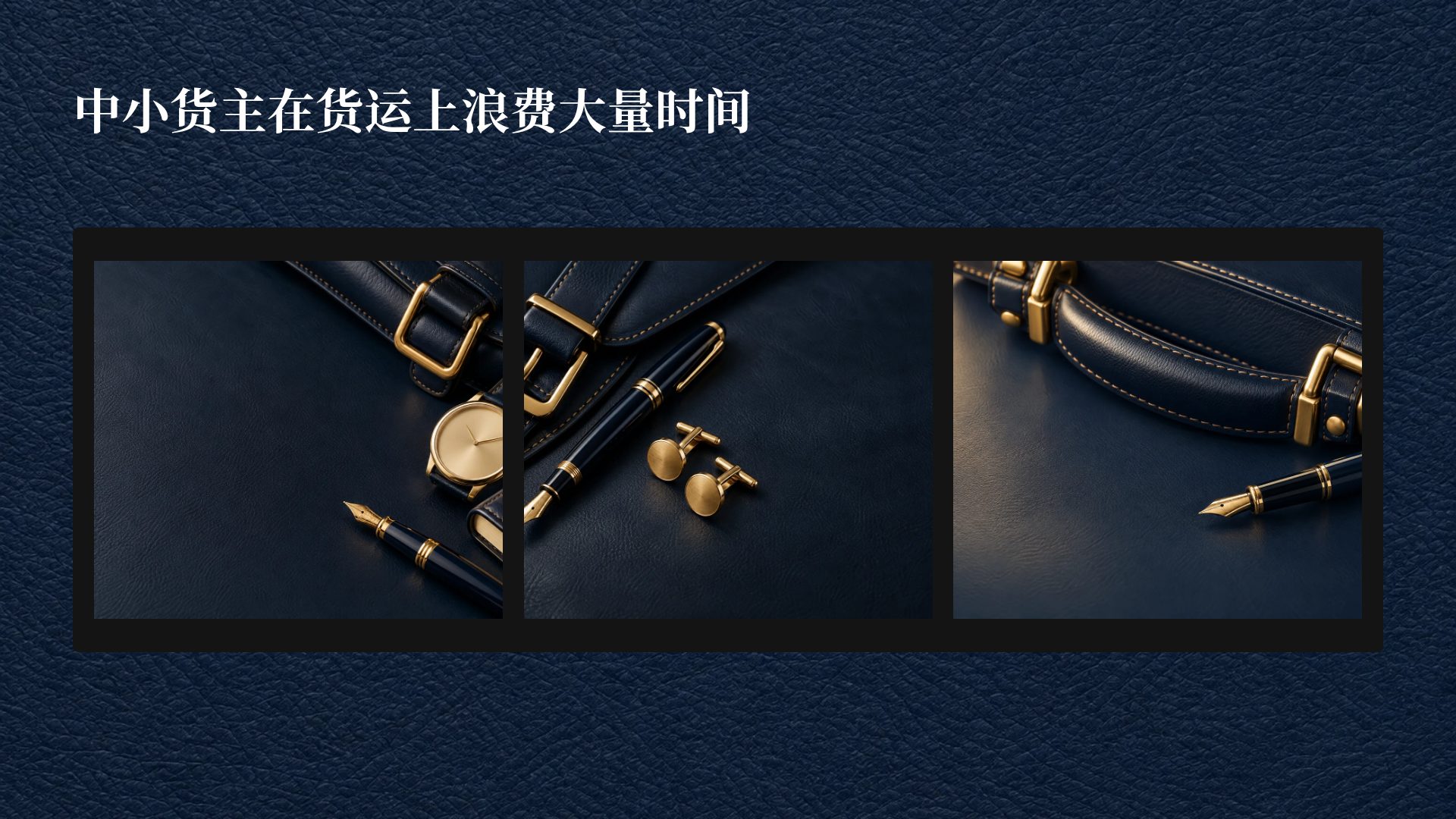 海军蓝皮革 第 14 页