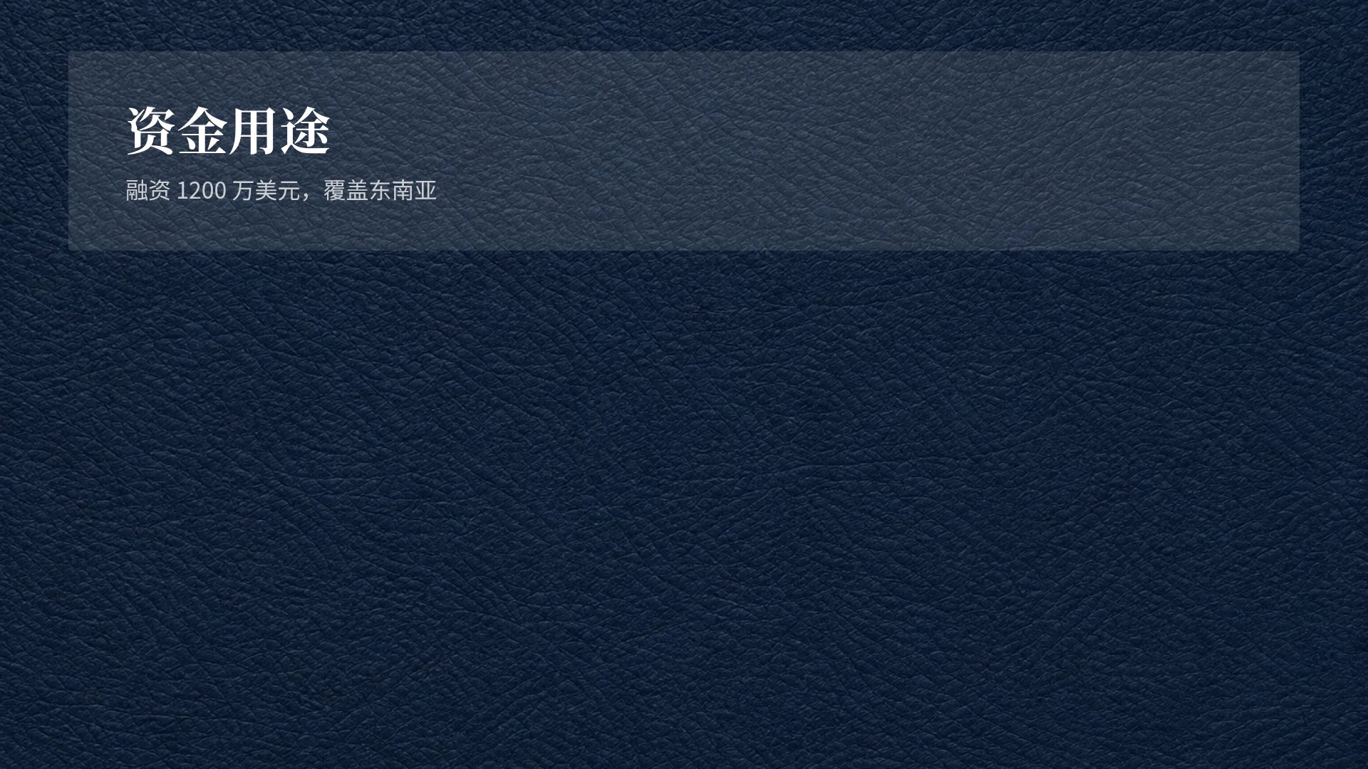 海军蓝皮革 第 15 页