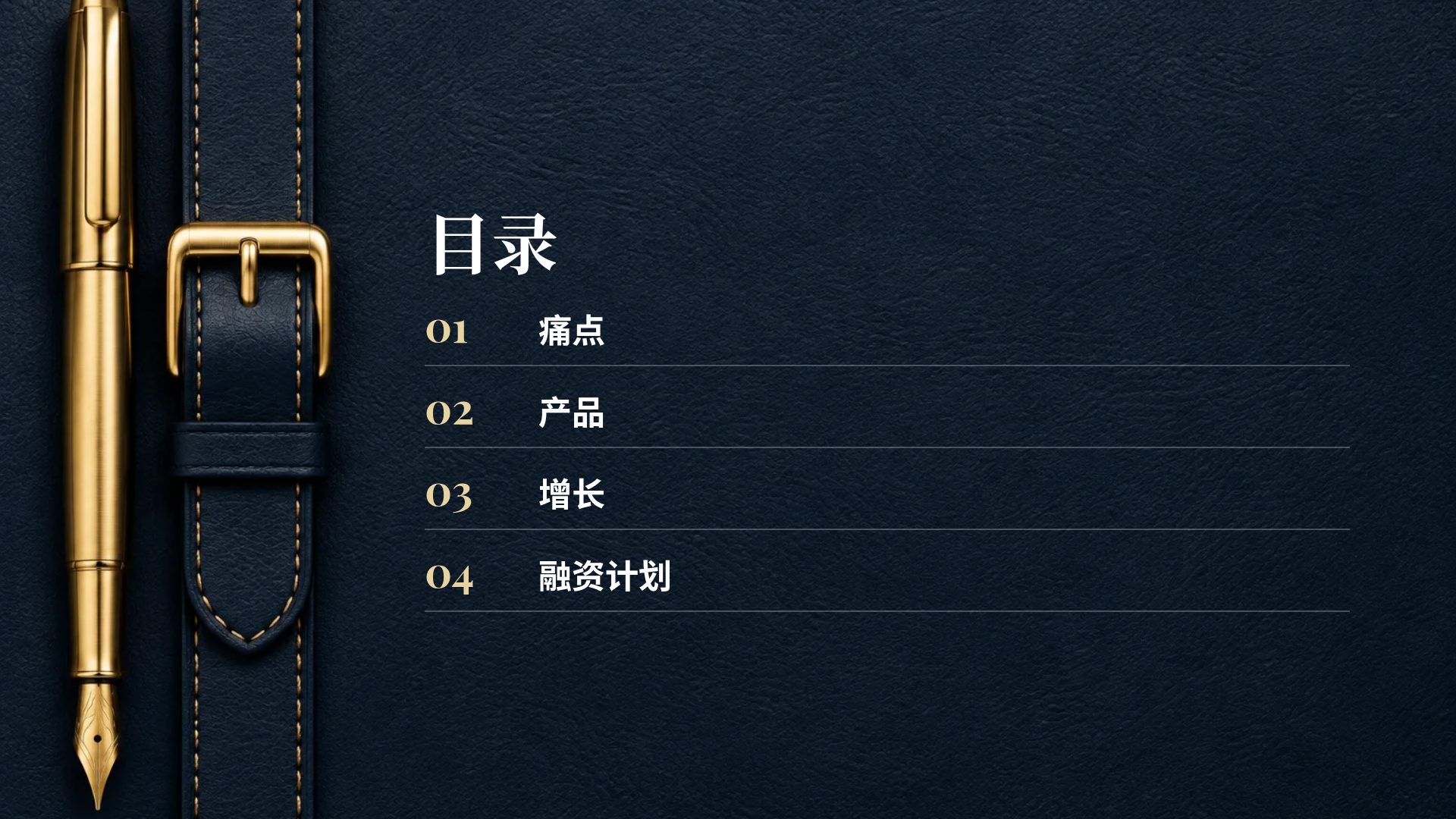 海军蓝皮革 第 3 页