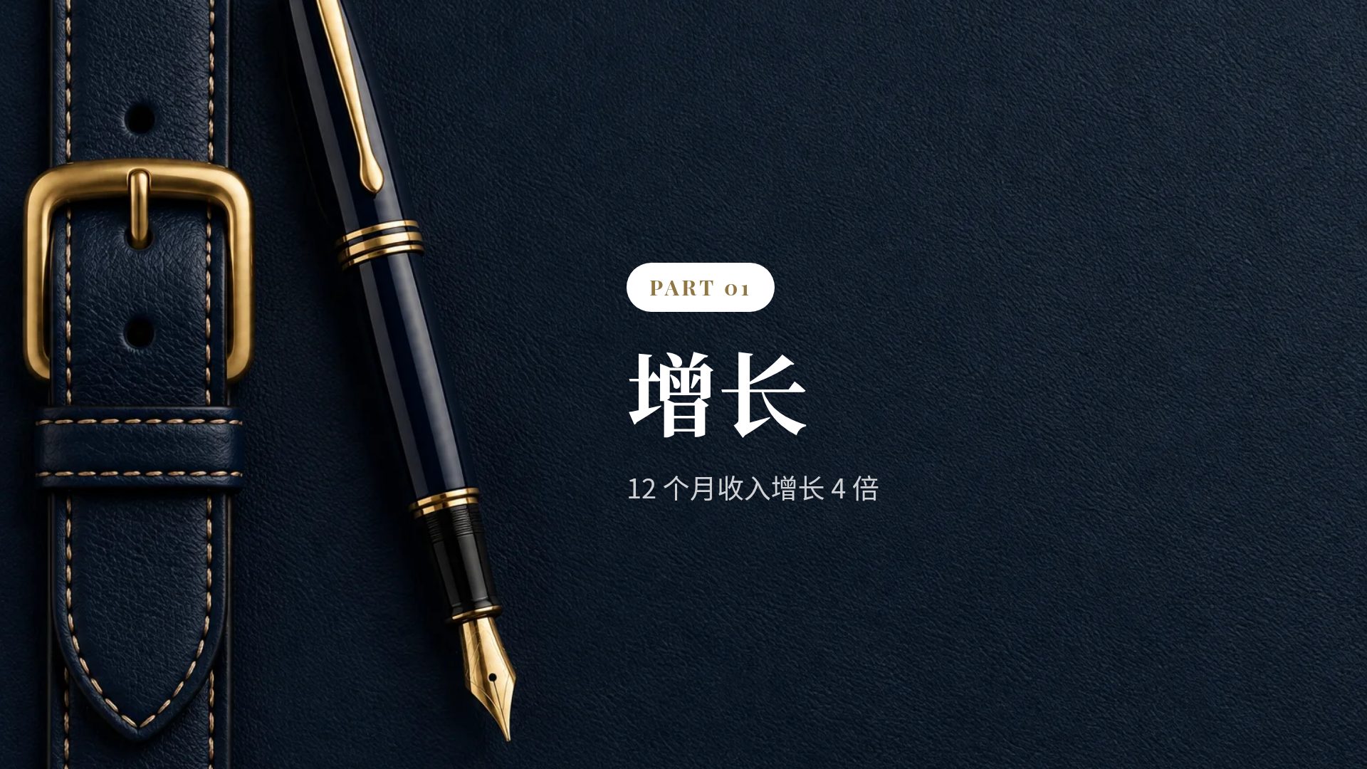 海军蓝皮革 第 4 页