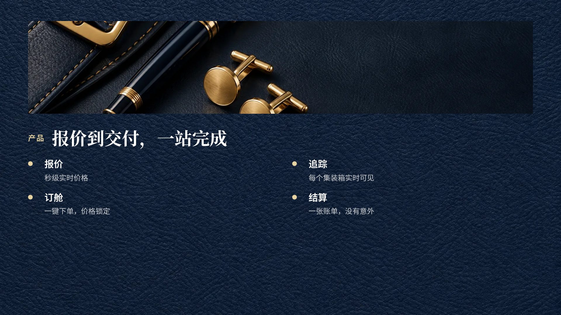 海军蓝皮革 第 6 页