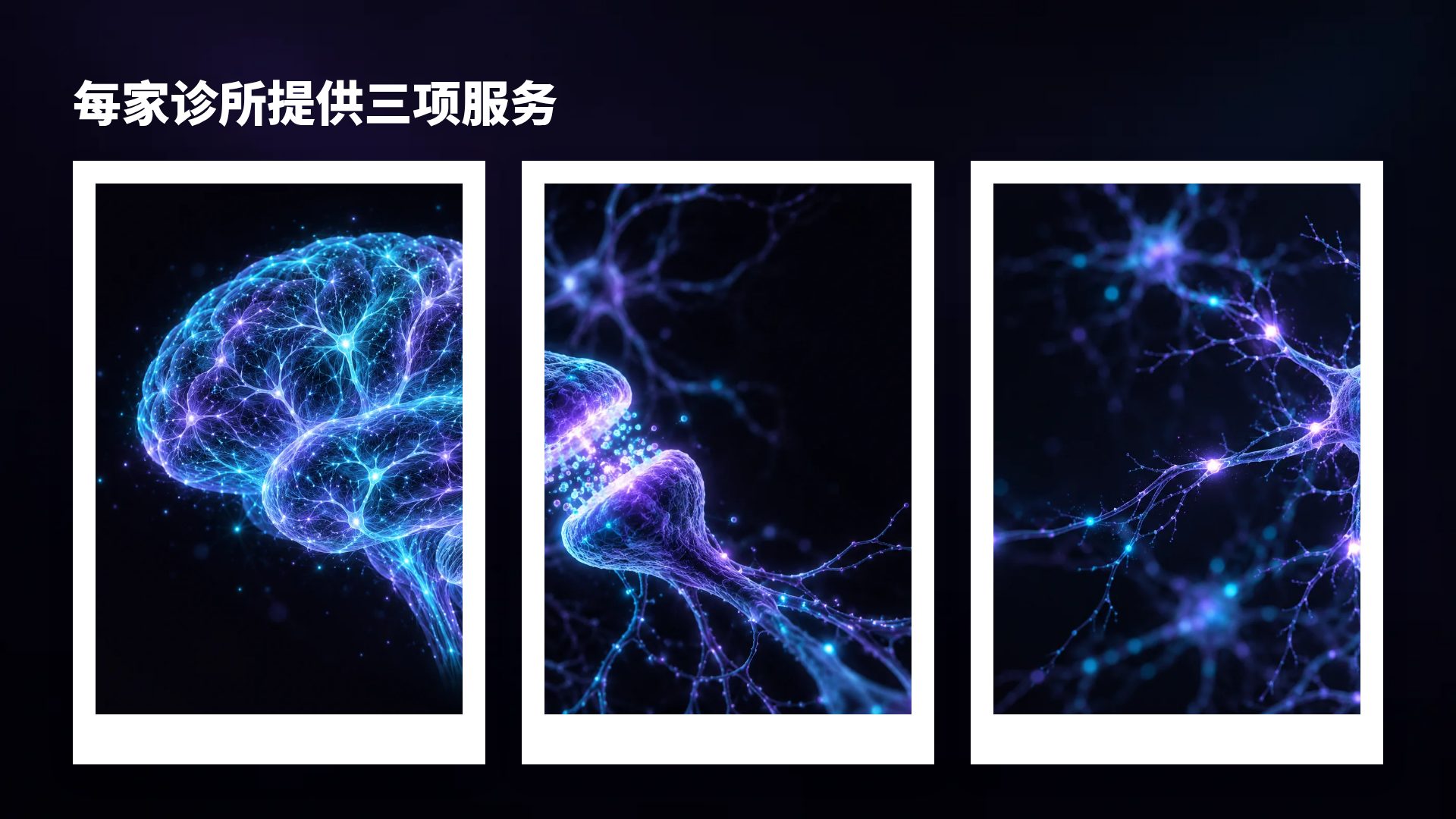 神经科学 第 14 页