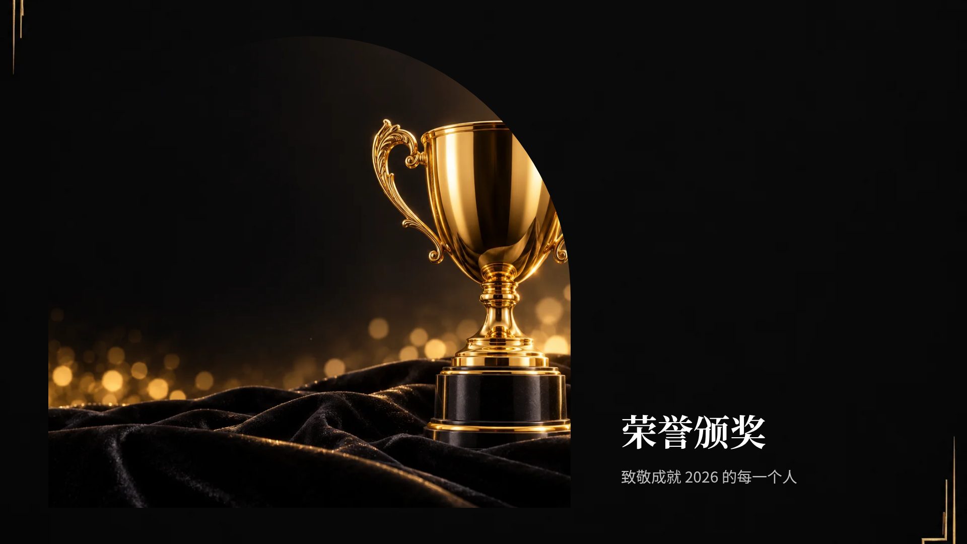 黑金盛典 第 13 页