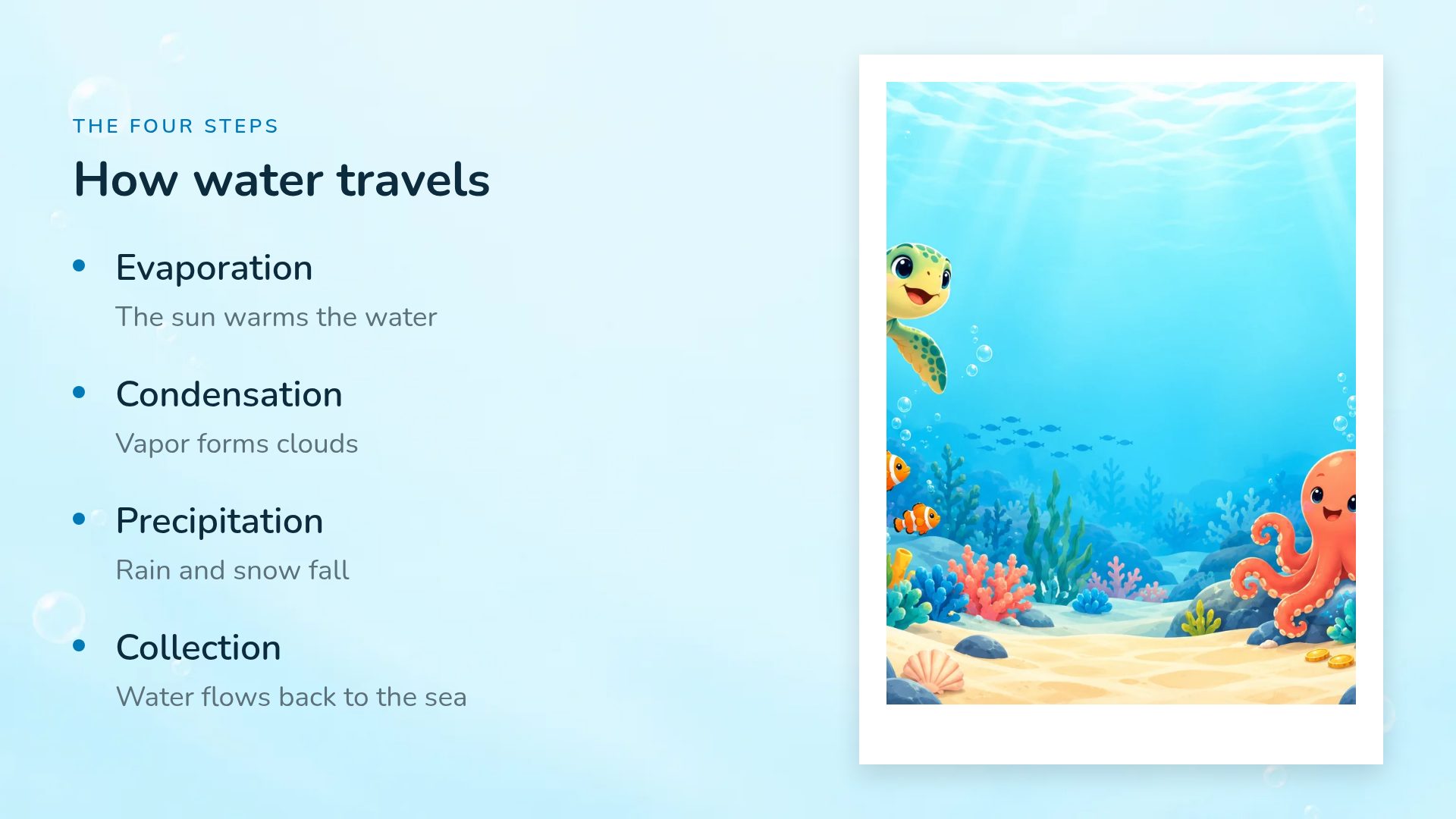Ocean Pals slide 6