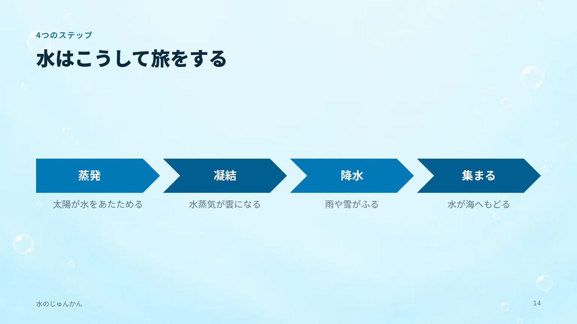 うみのなかま スライド 12
