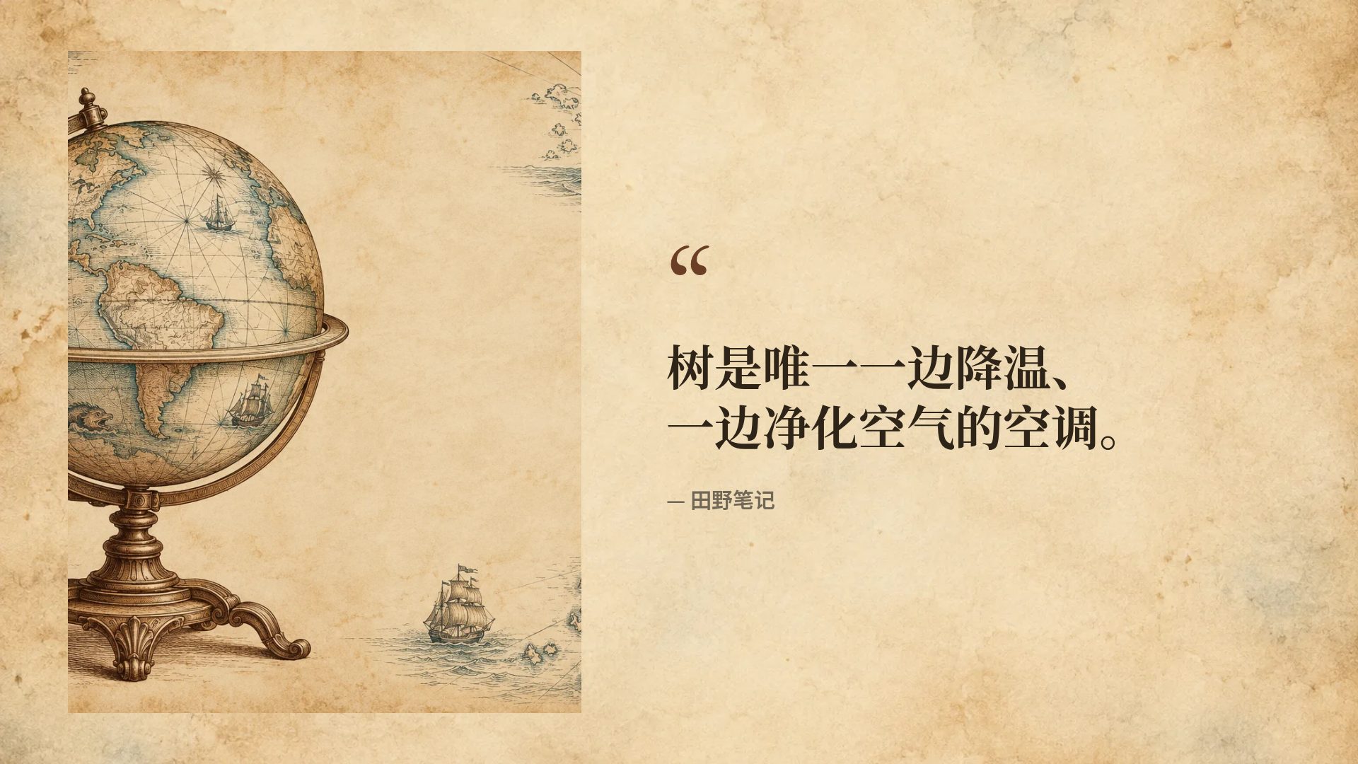 古地图 第 11 页