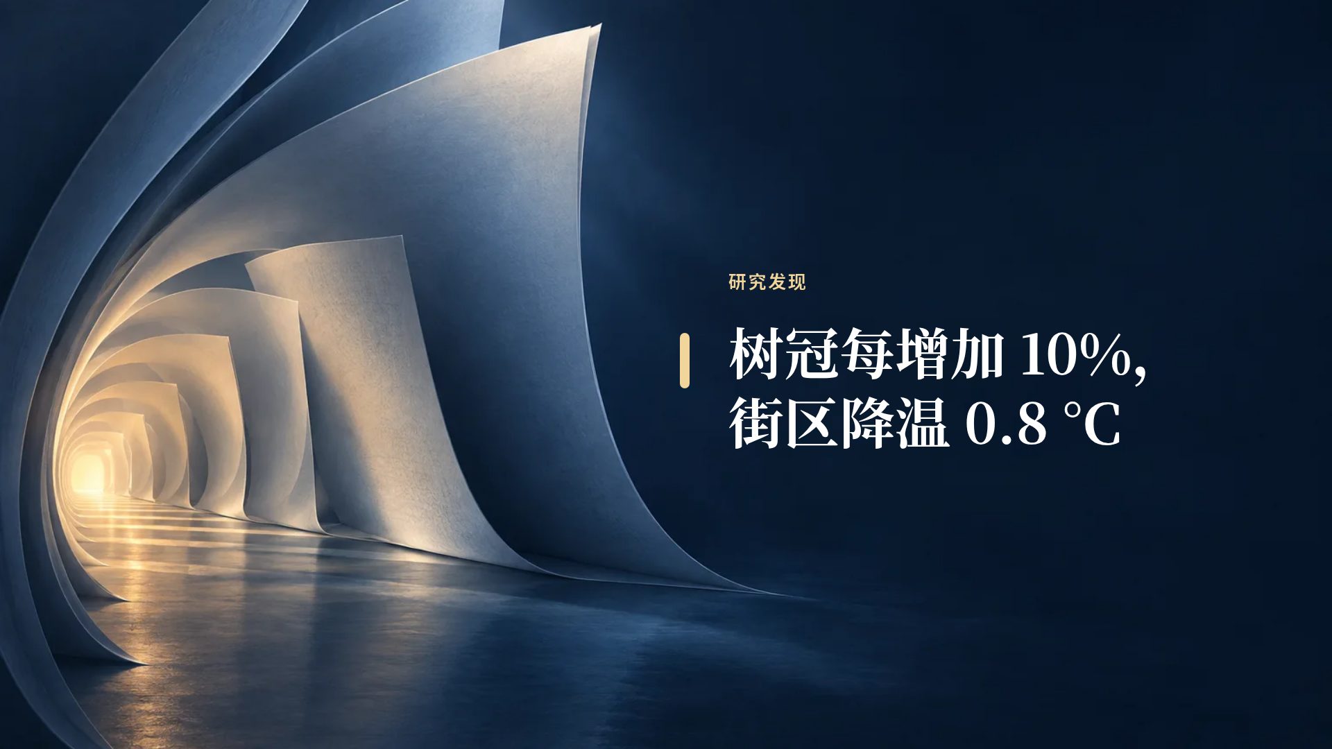 书页微光 第 9 页