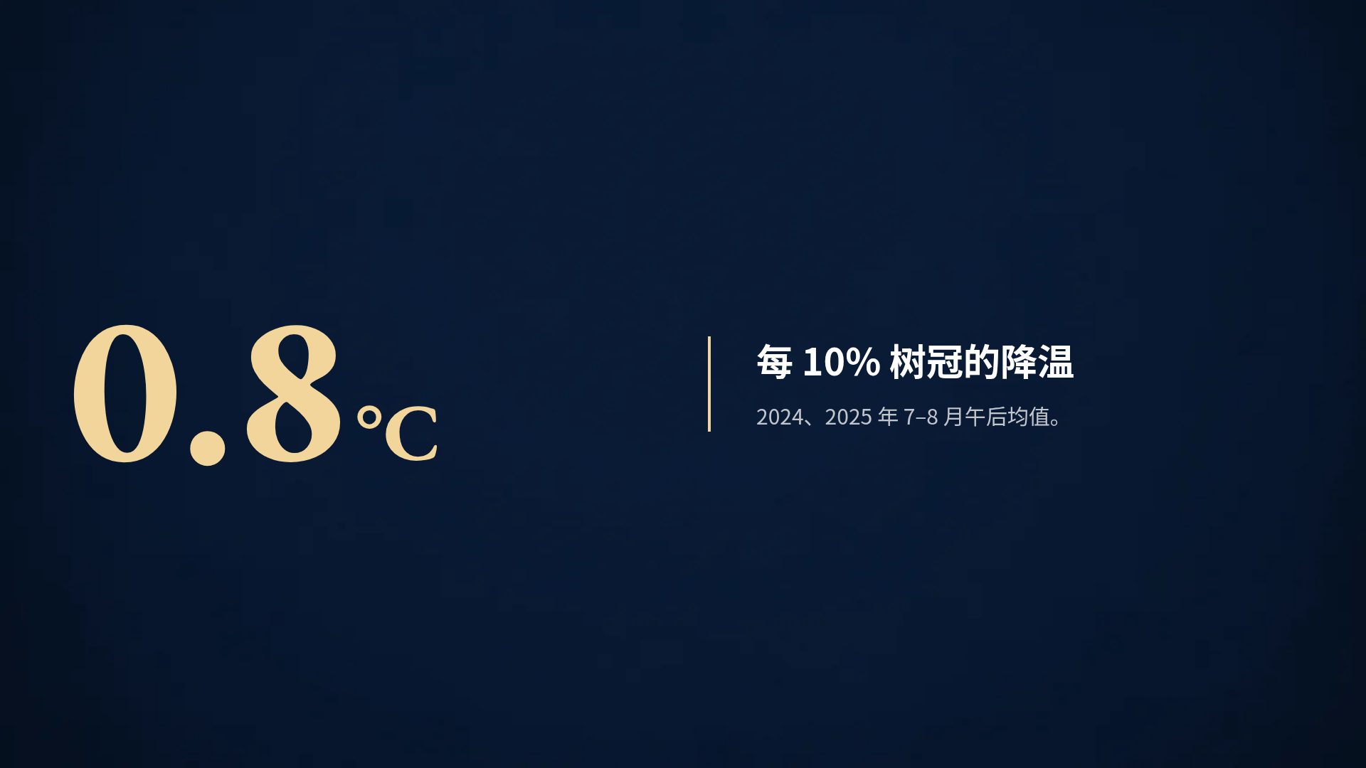 书页微光 第 10 页