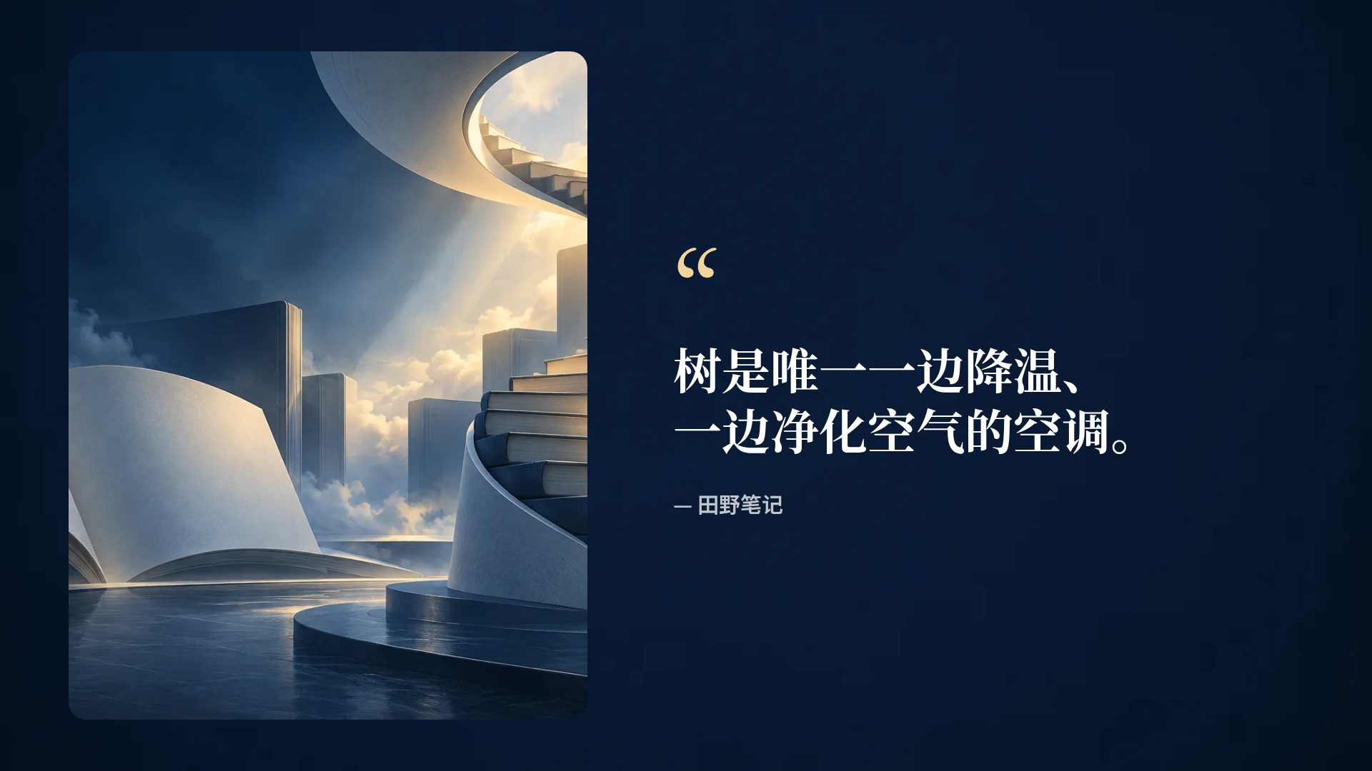 书页微光 第 11 页