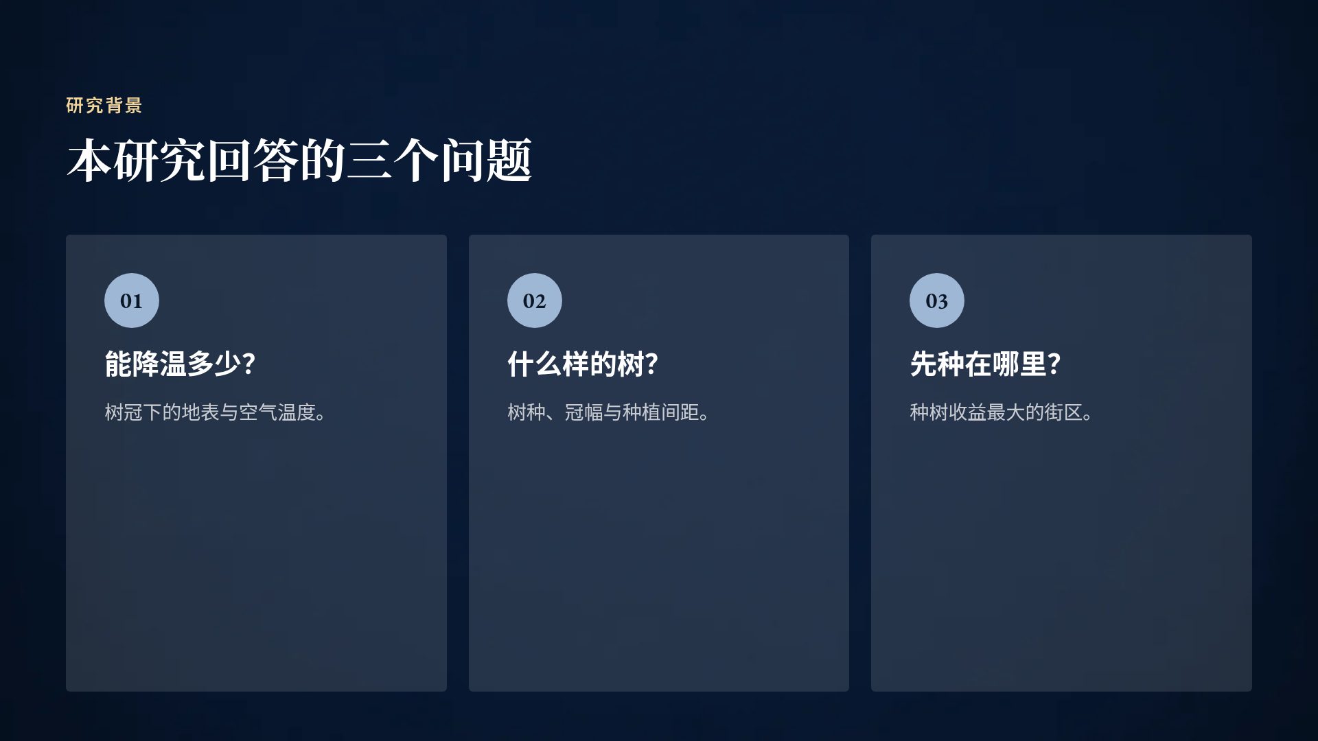书页微光 第 5 页