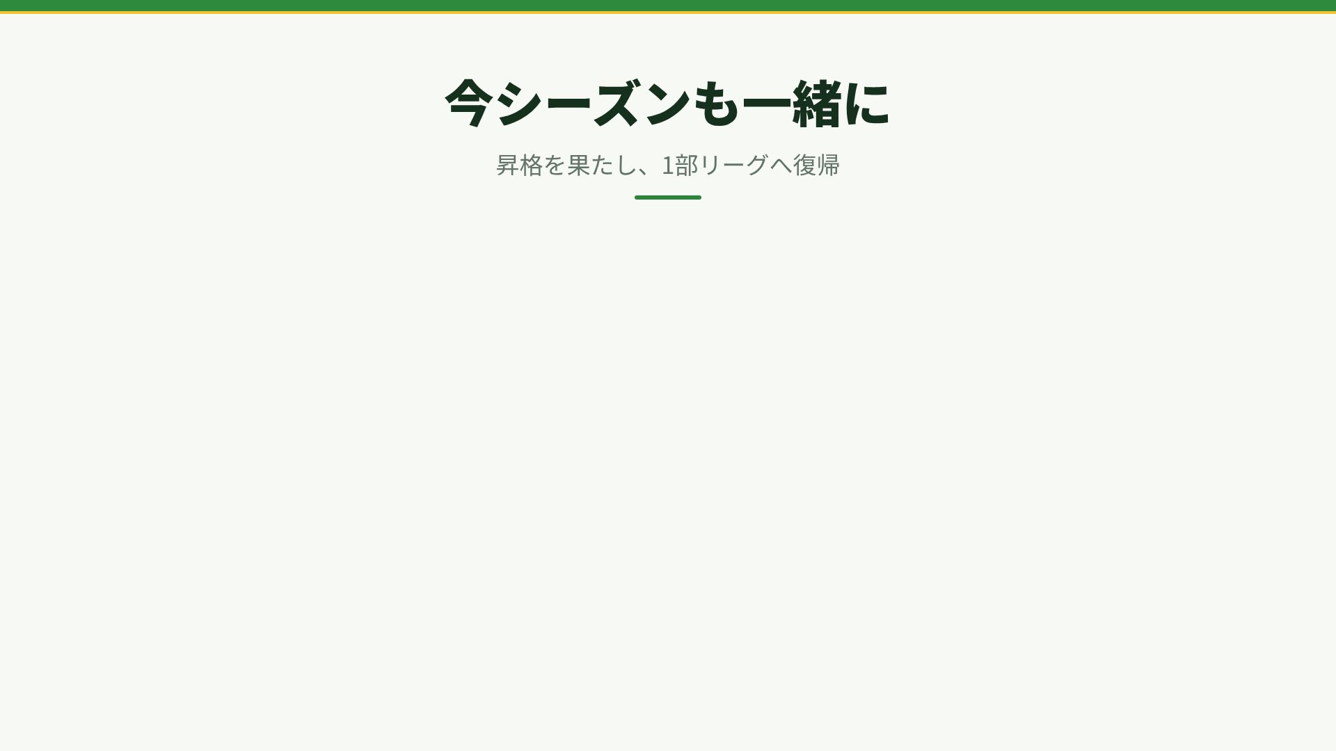 ピッチライン スライド 15