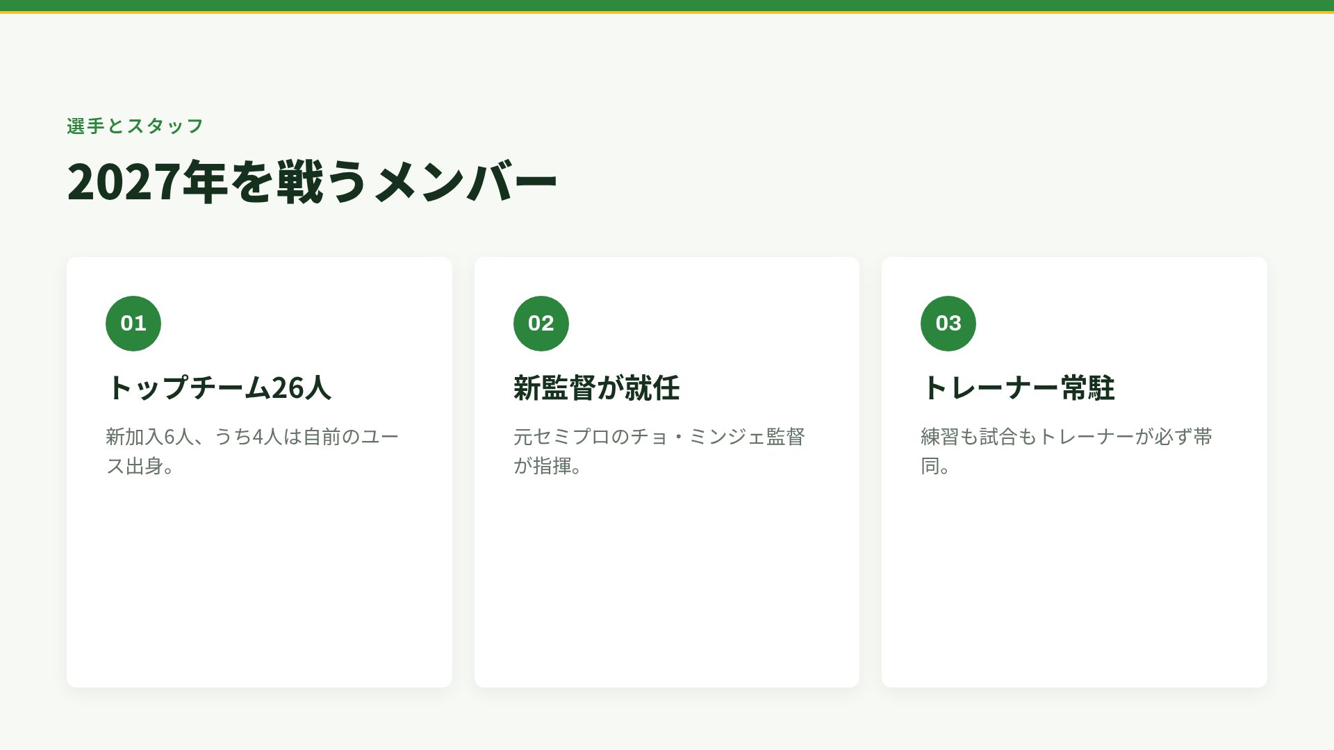 ピッチライン スライド 5