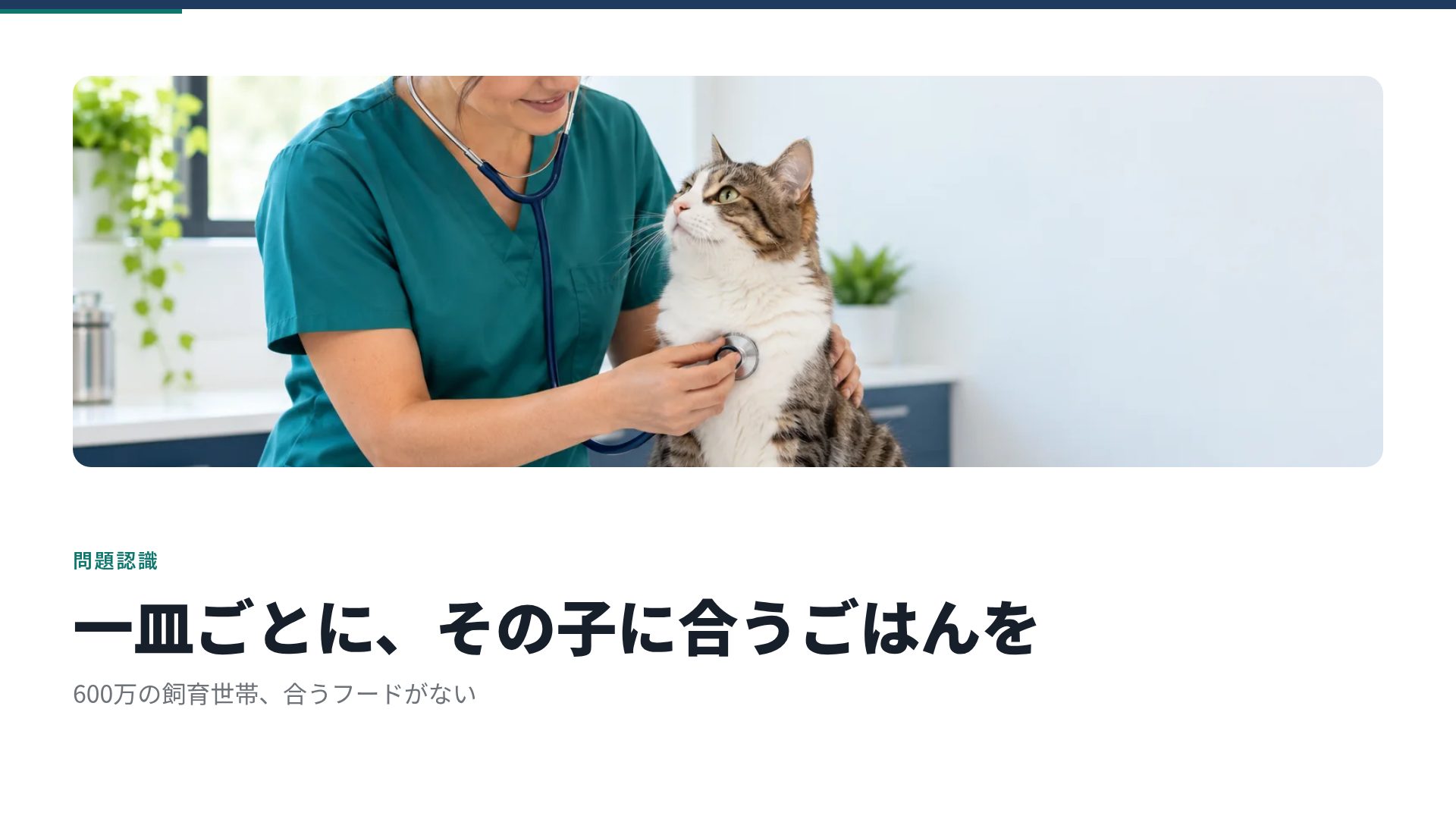 PSSTプラン スライド 7