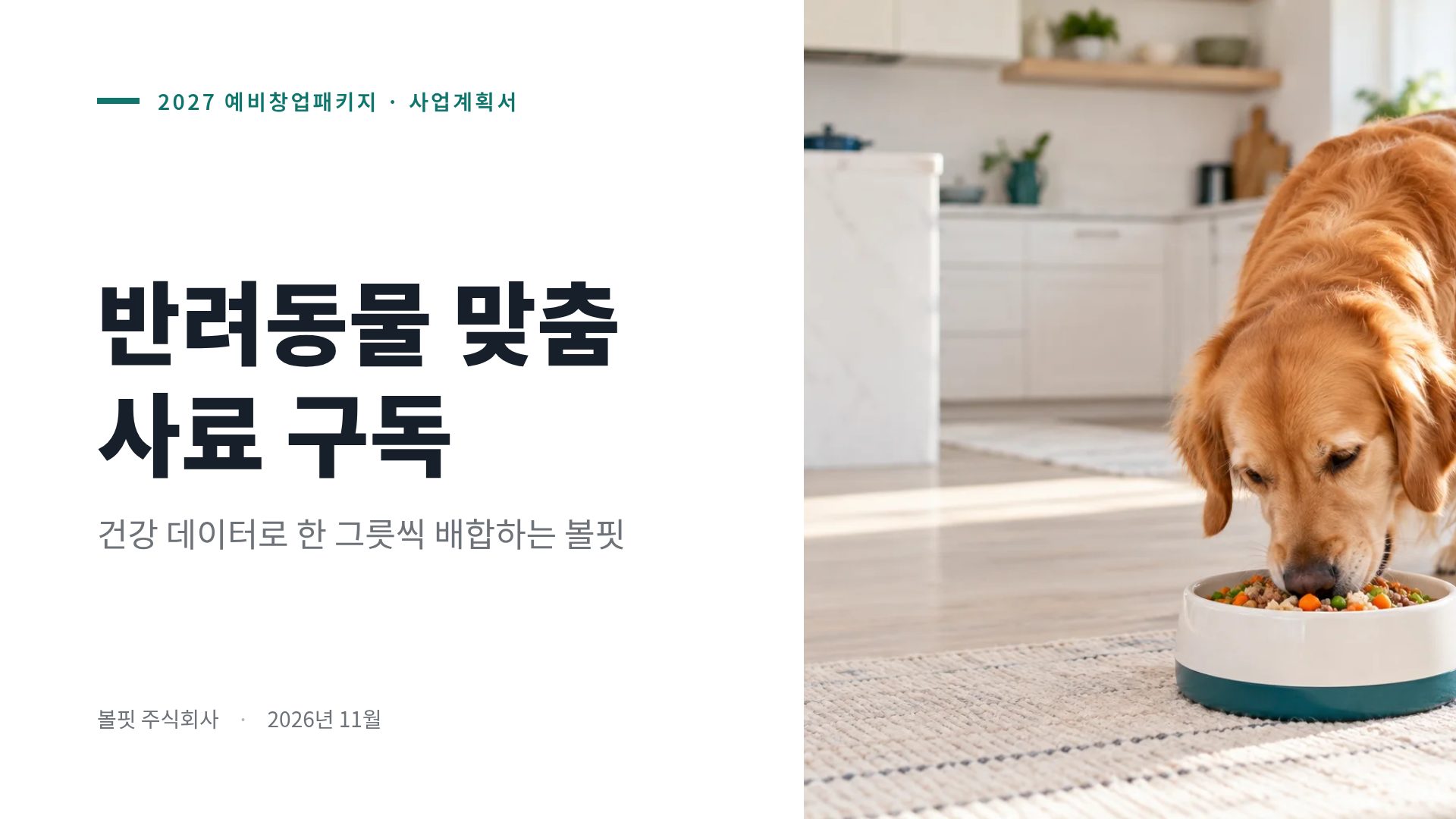 PSST 사업계획서 2번째 슬라이드