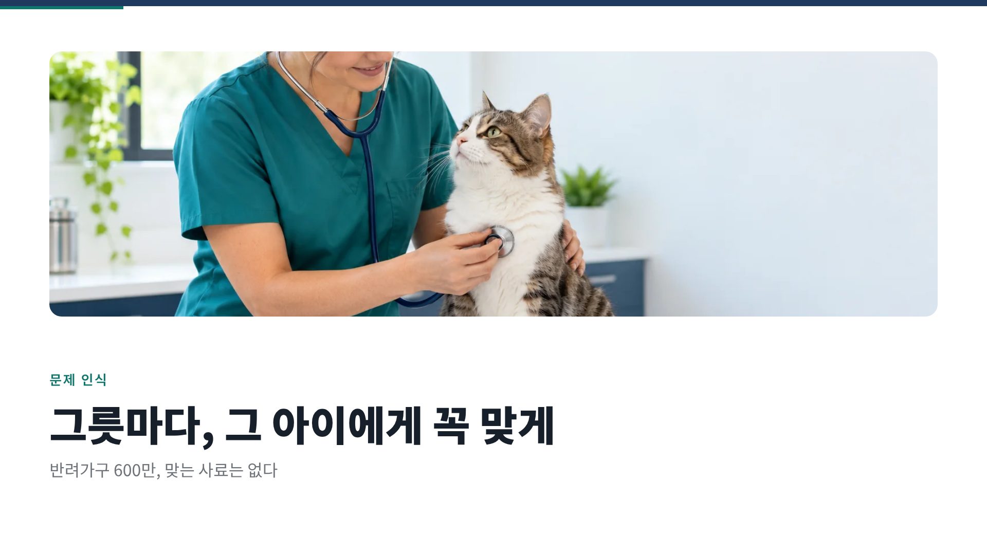 PSST 사업계획서 7번째 슬라이드