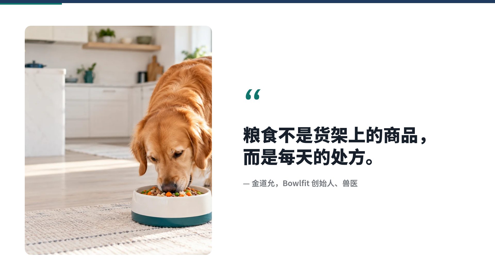 创业计划书 第 11 页