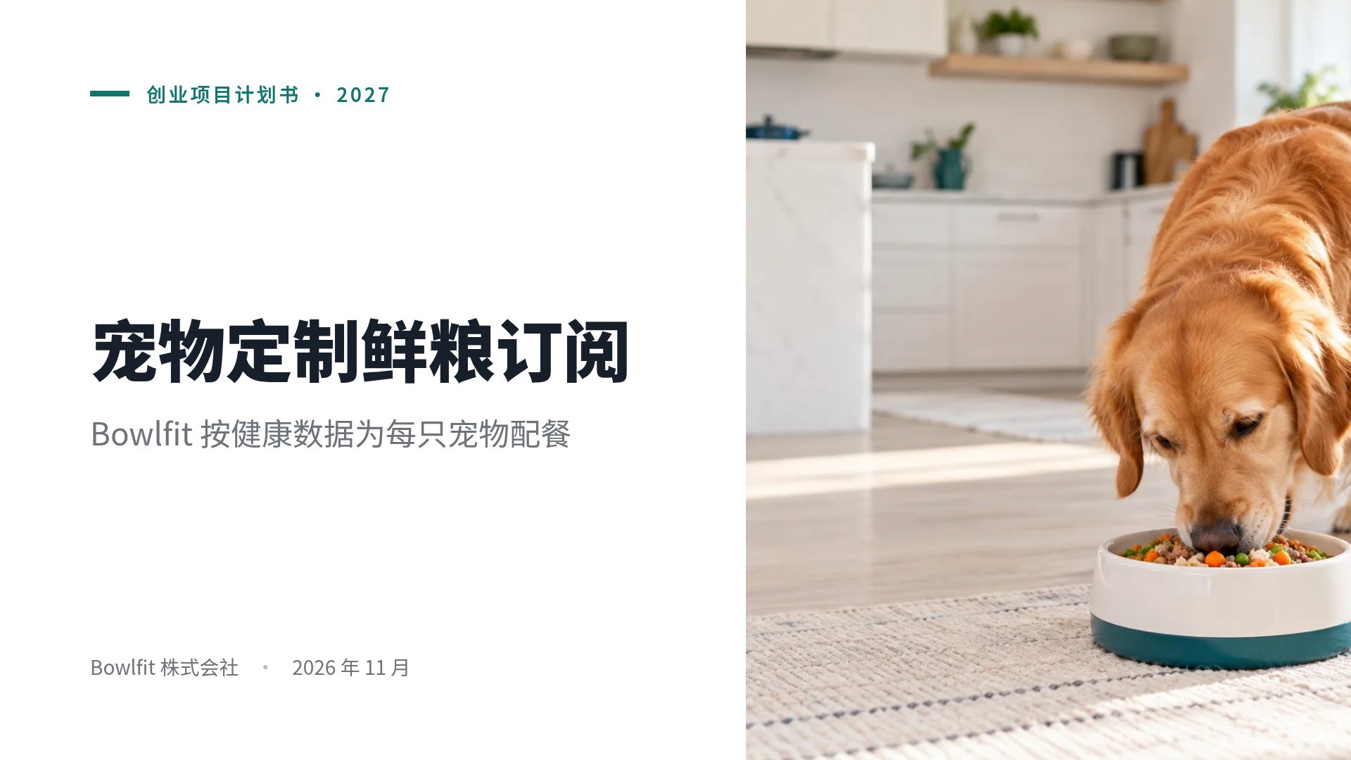 创业计划书 第 2 页