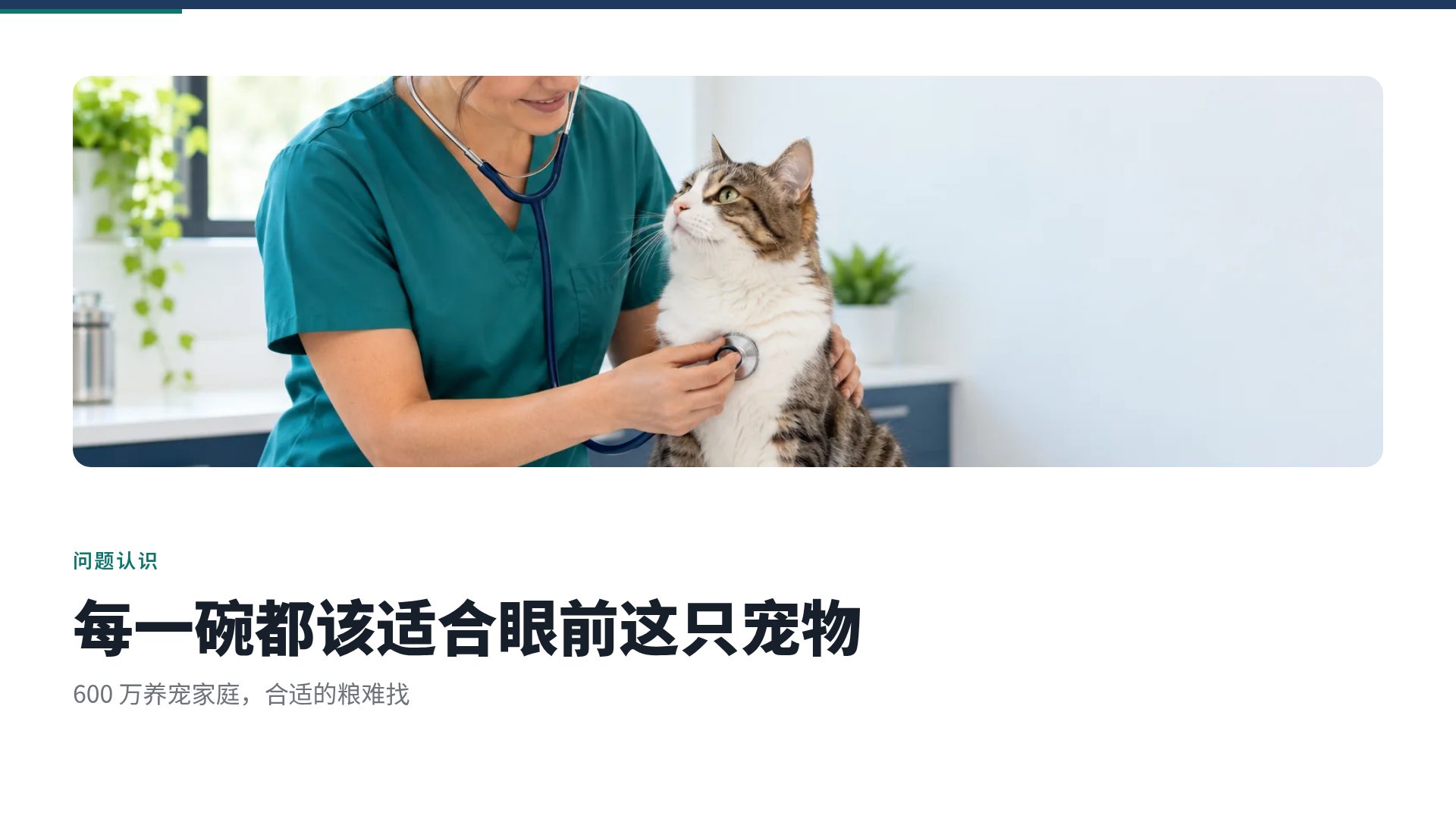 创业计划书 第 7 页
