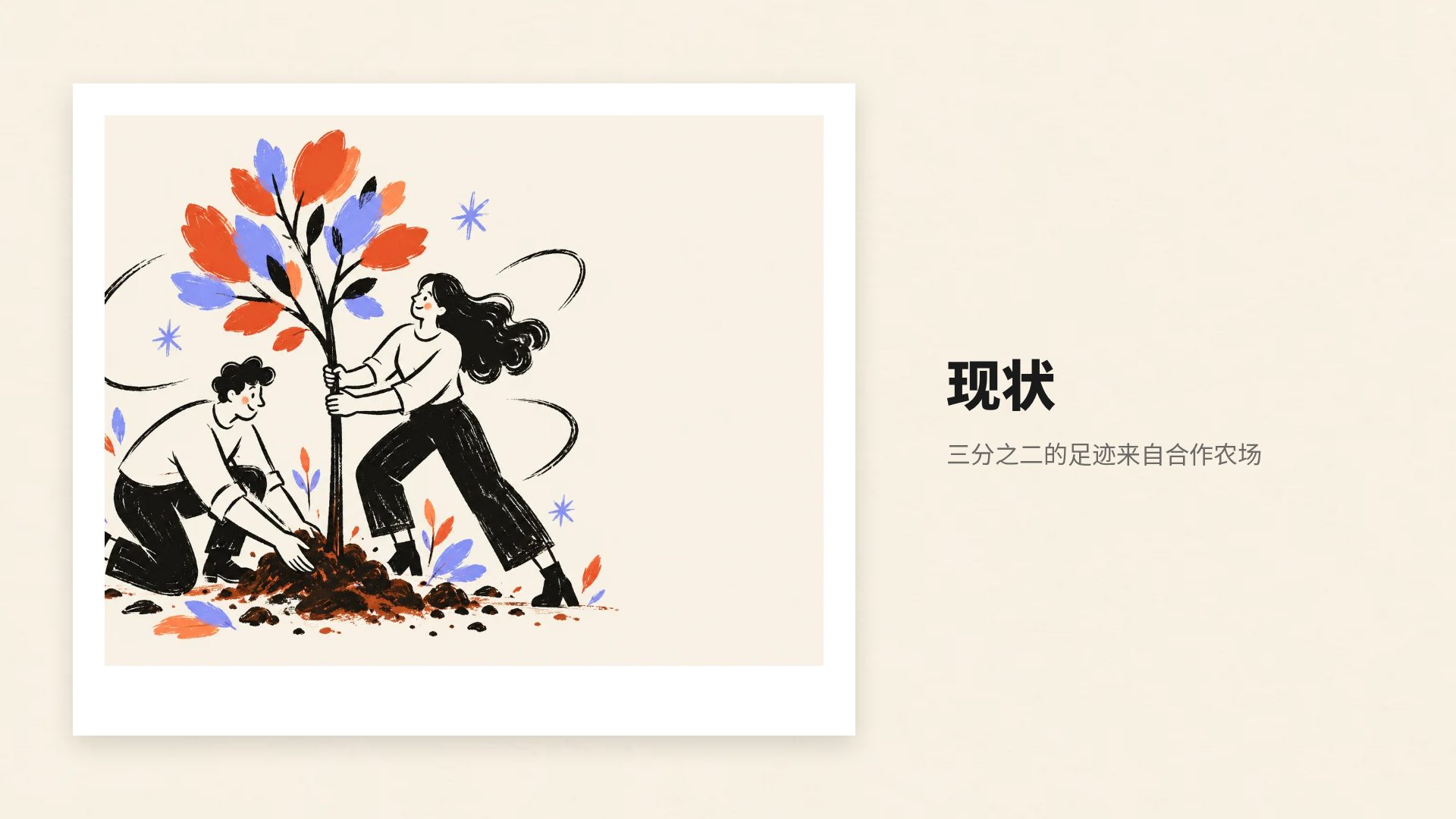 红色跃动 第 13 页