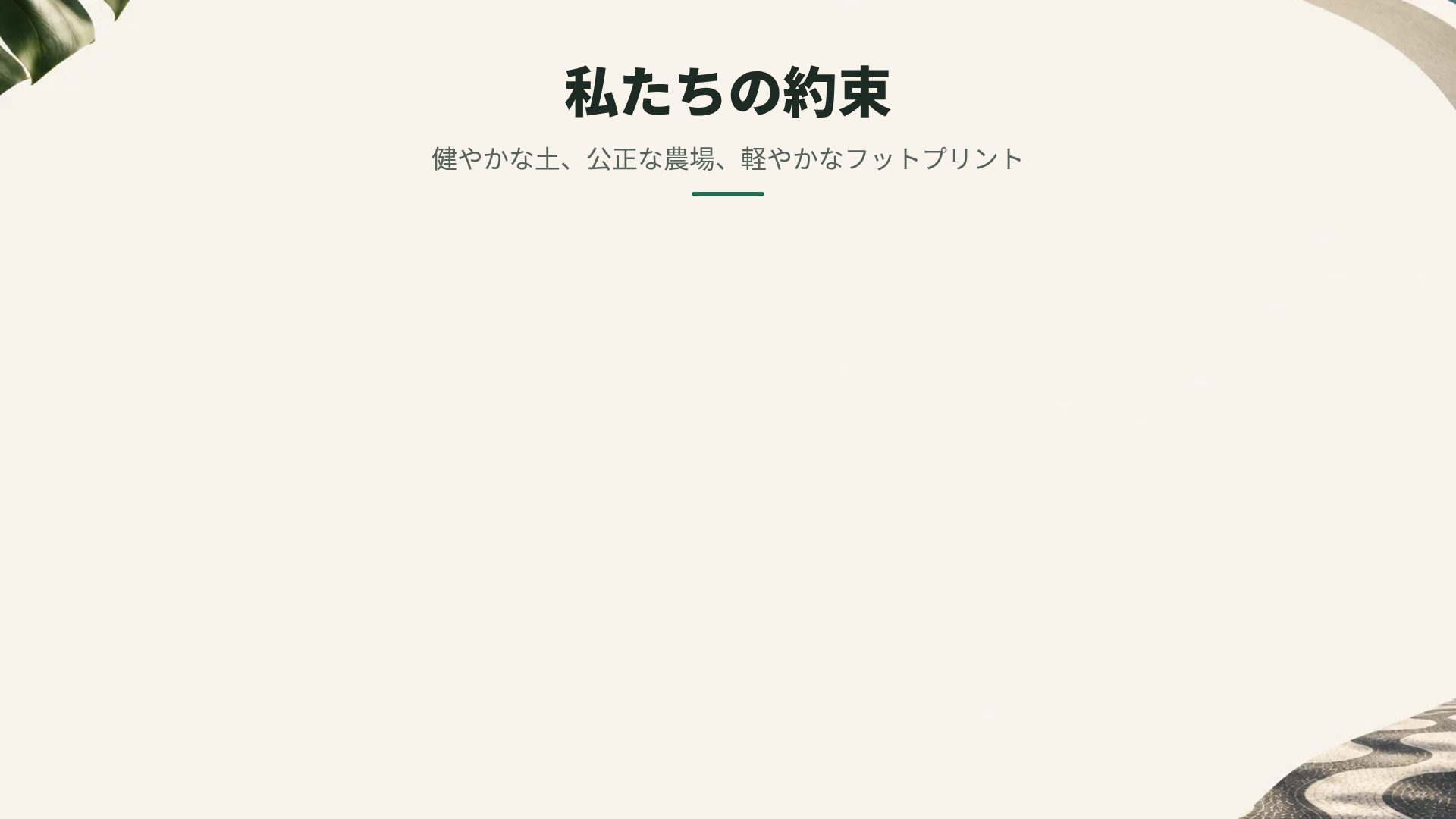 リオモダン スライド 15