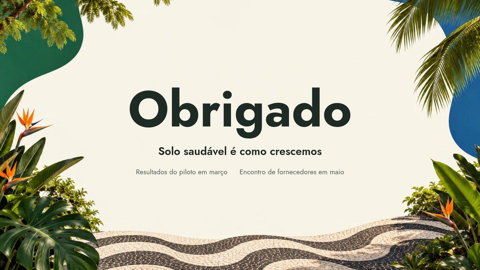 Rio Moderno, slide 18