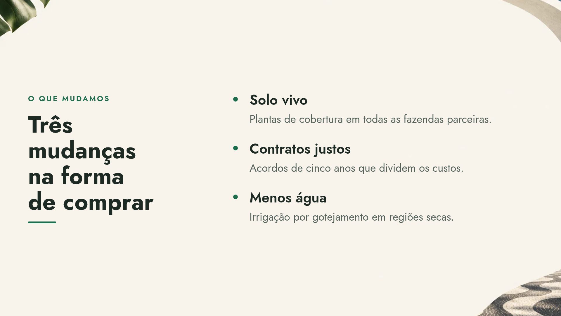 Rio Moderno, slide 5