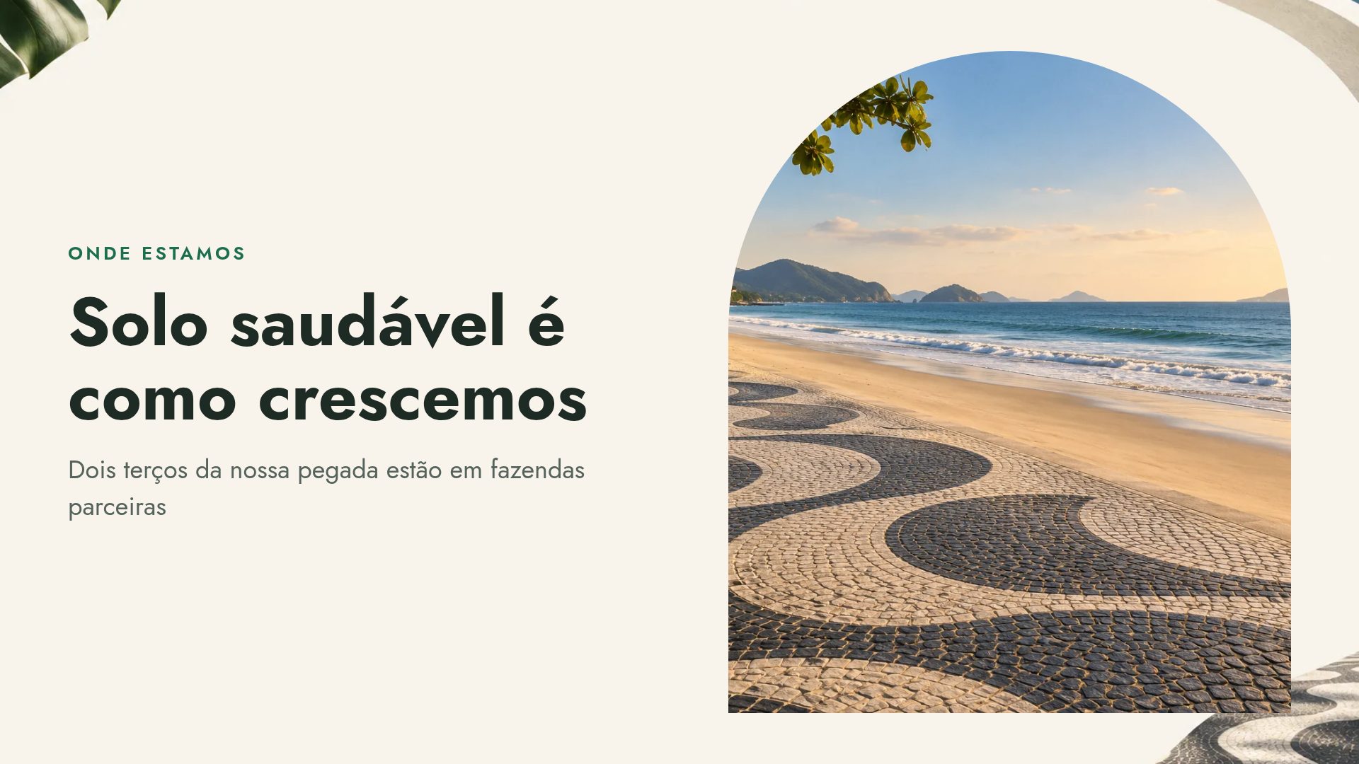 Rio Moderno, slide 7