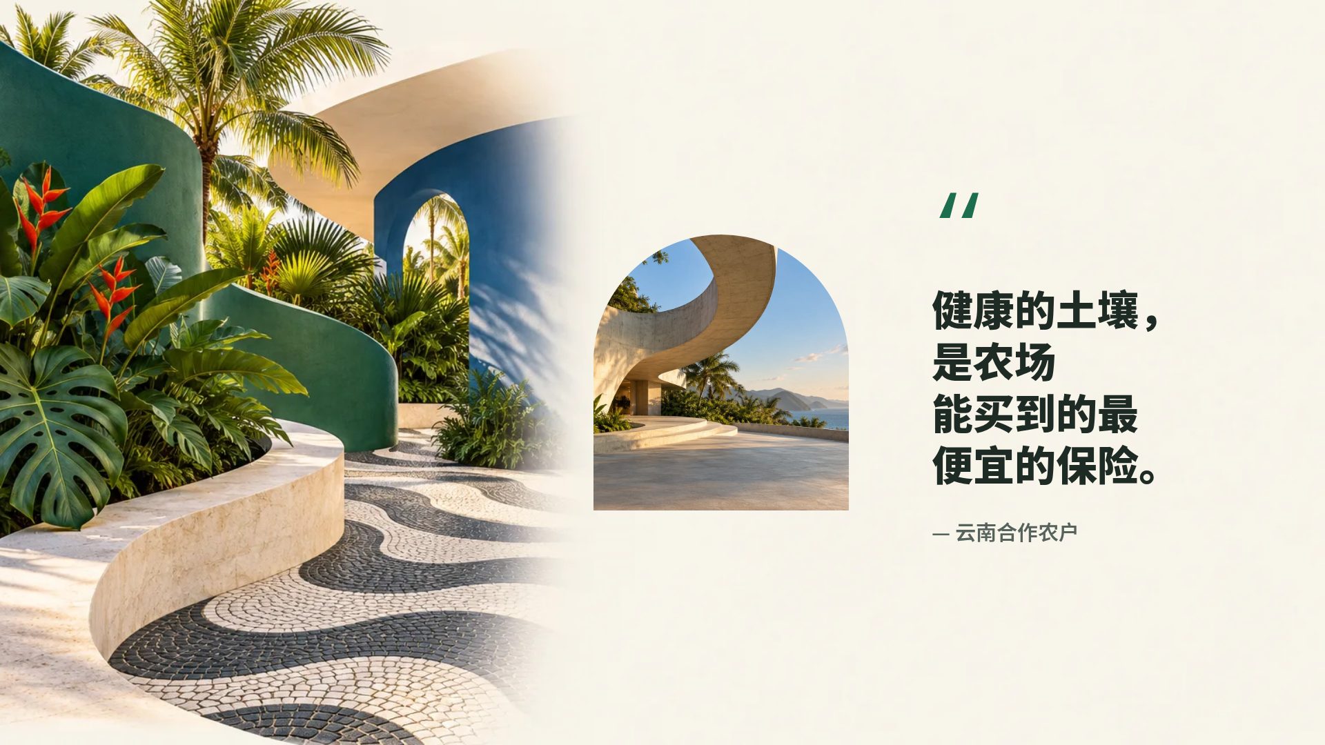 巴西现代主义 第 11 页