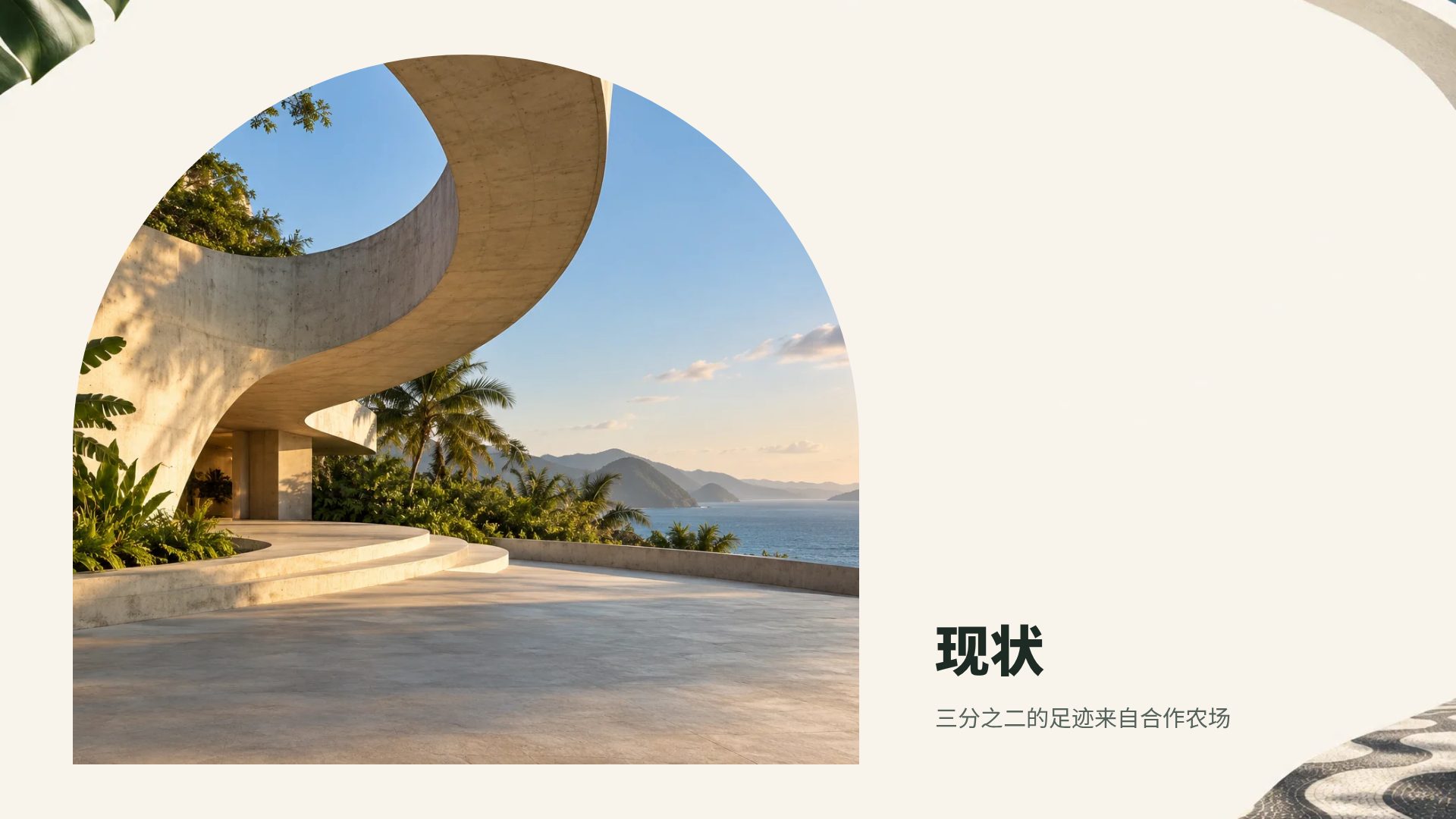 巴西现代主义 第 13 页