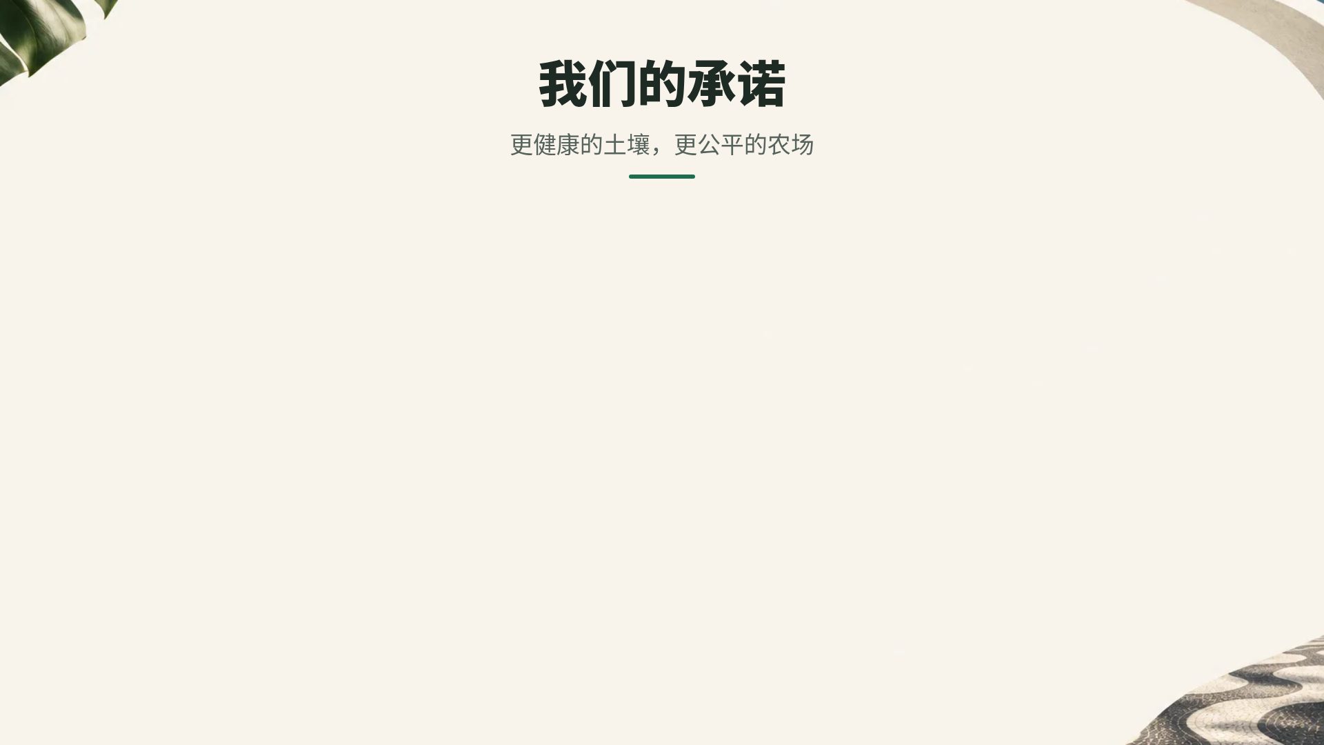 巴西现代主义 第 15 页