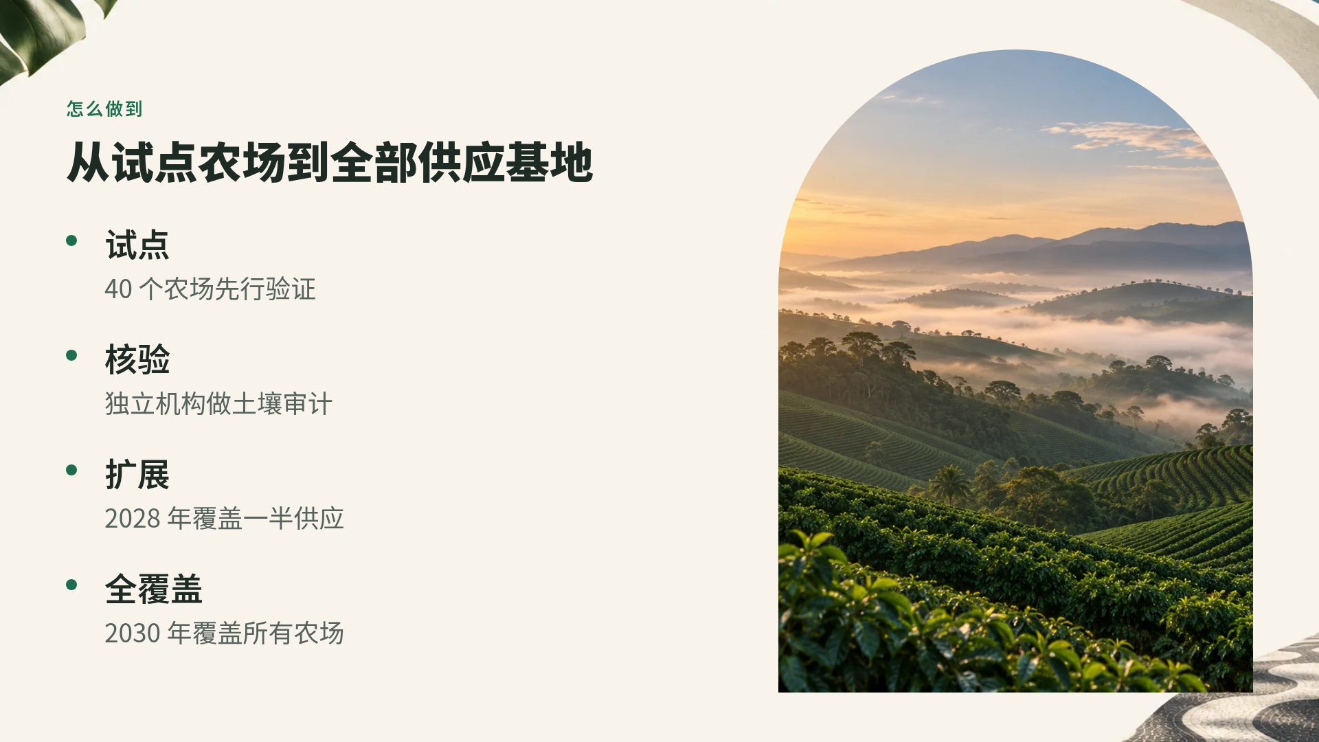巴西现代主义 第 6 页