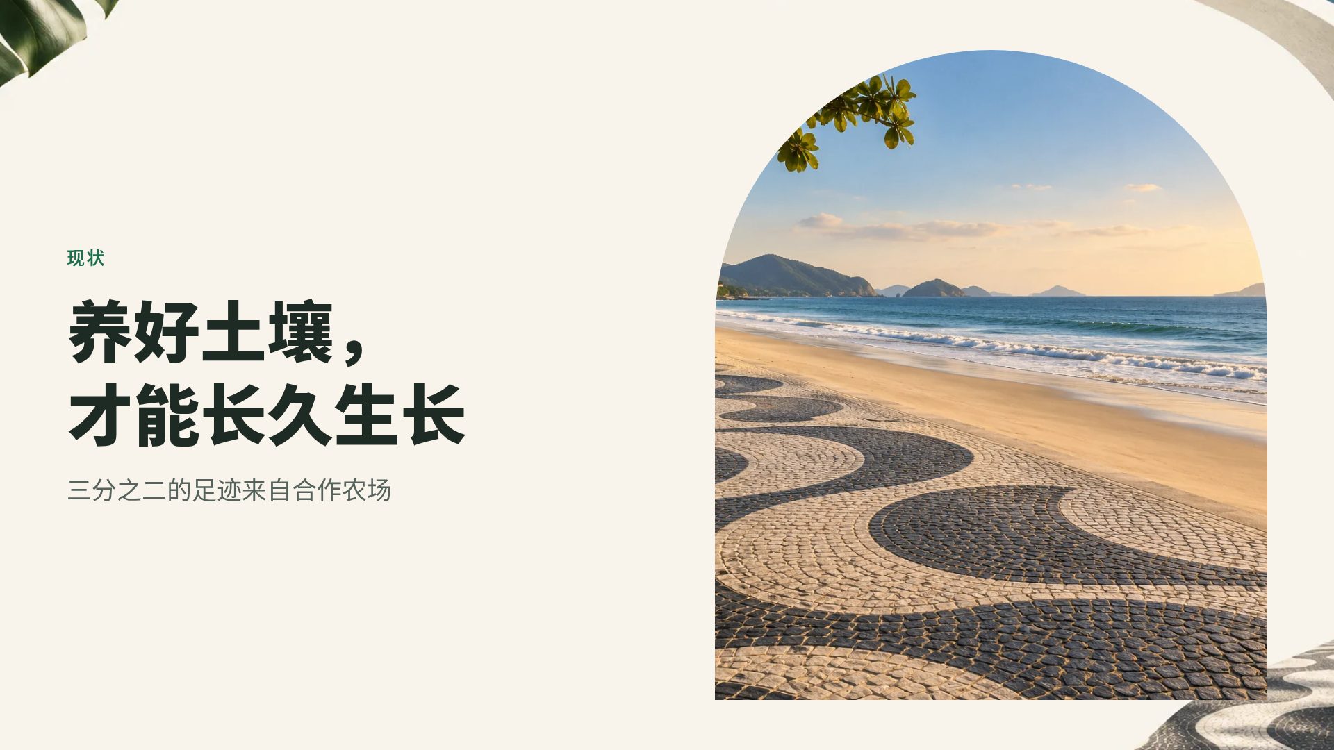 巴西现代主义 第 7 页