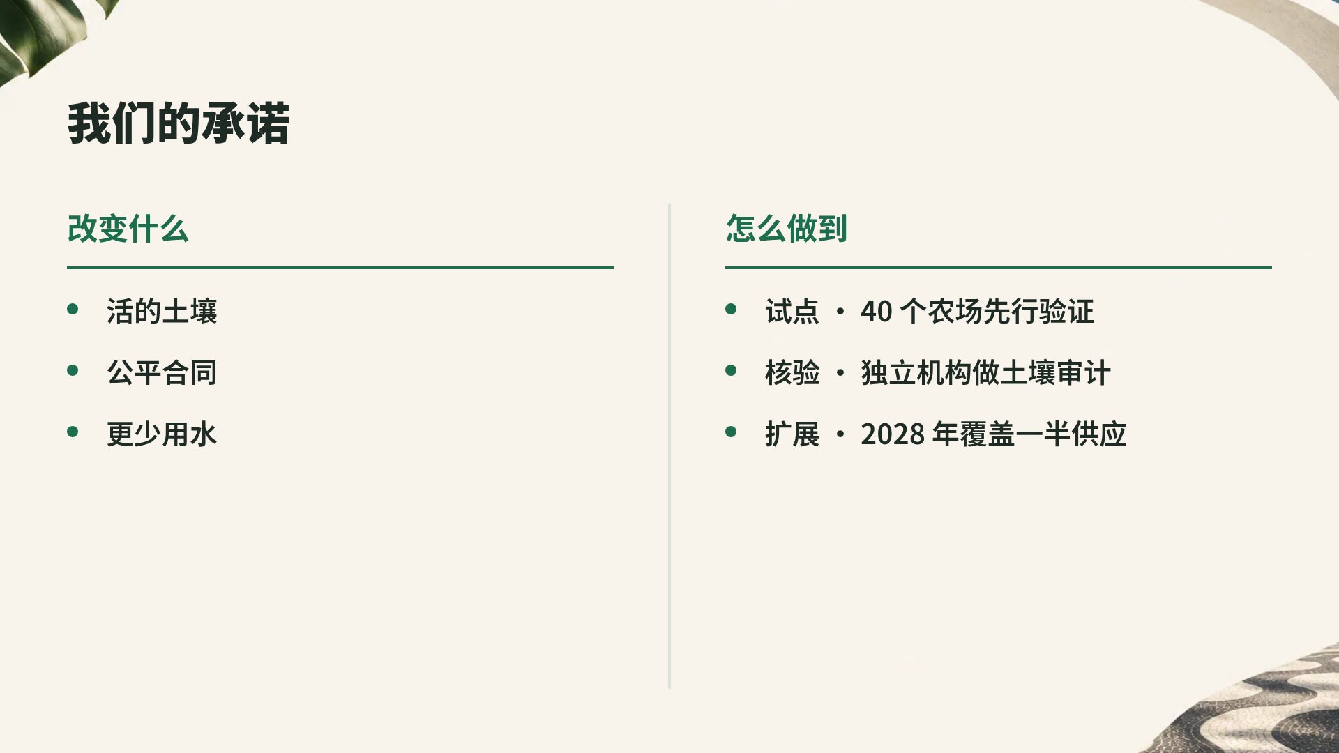 巴西现代主义 第 8 页