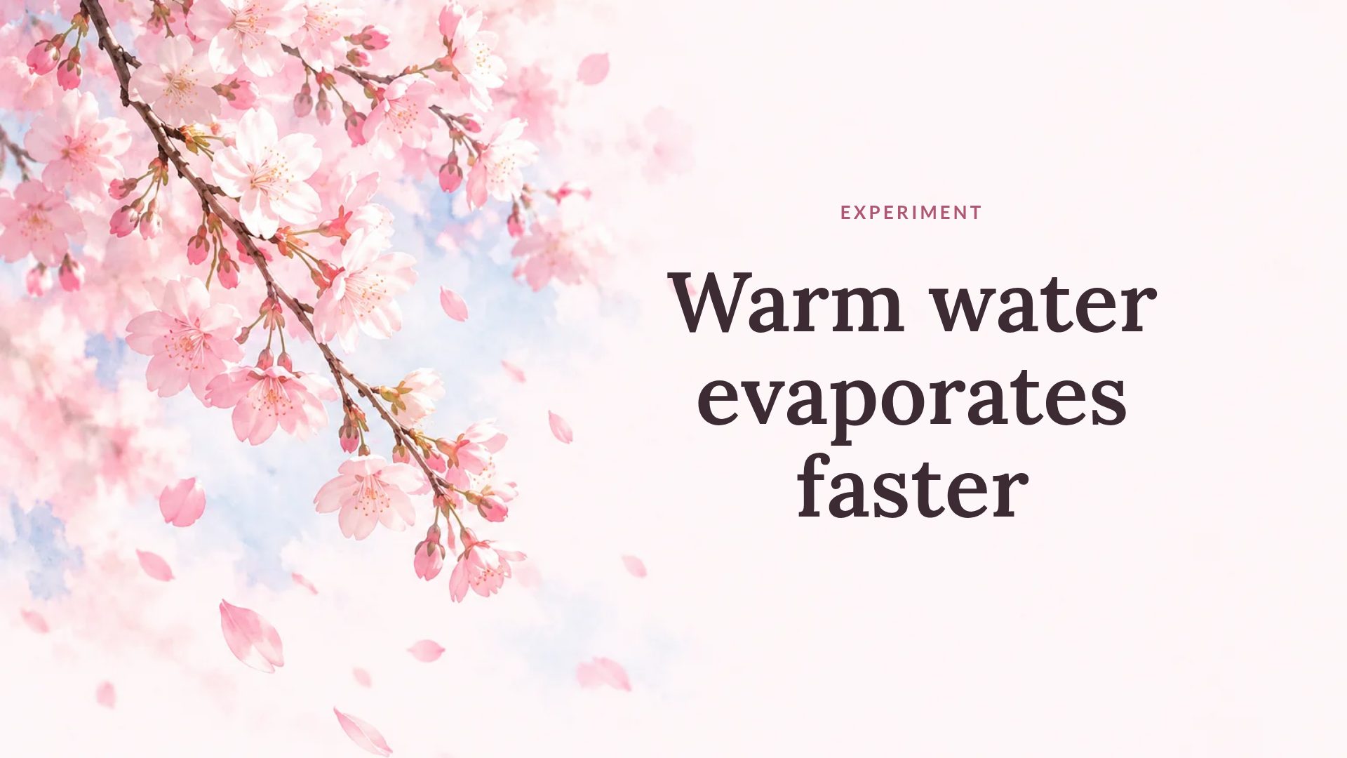 Sakura Pastel slide 9
