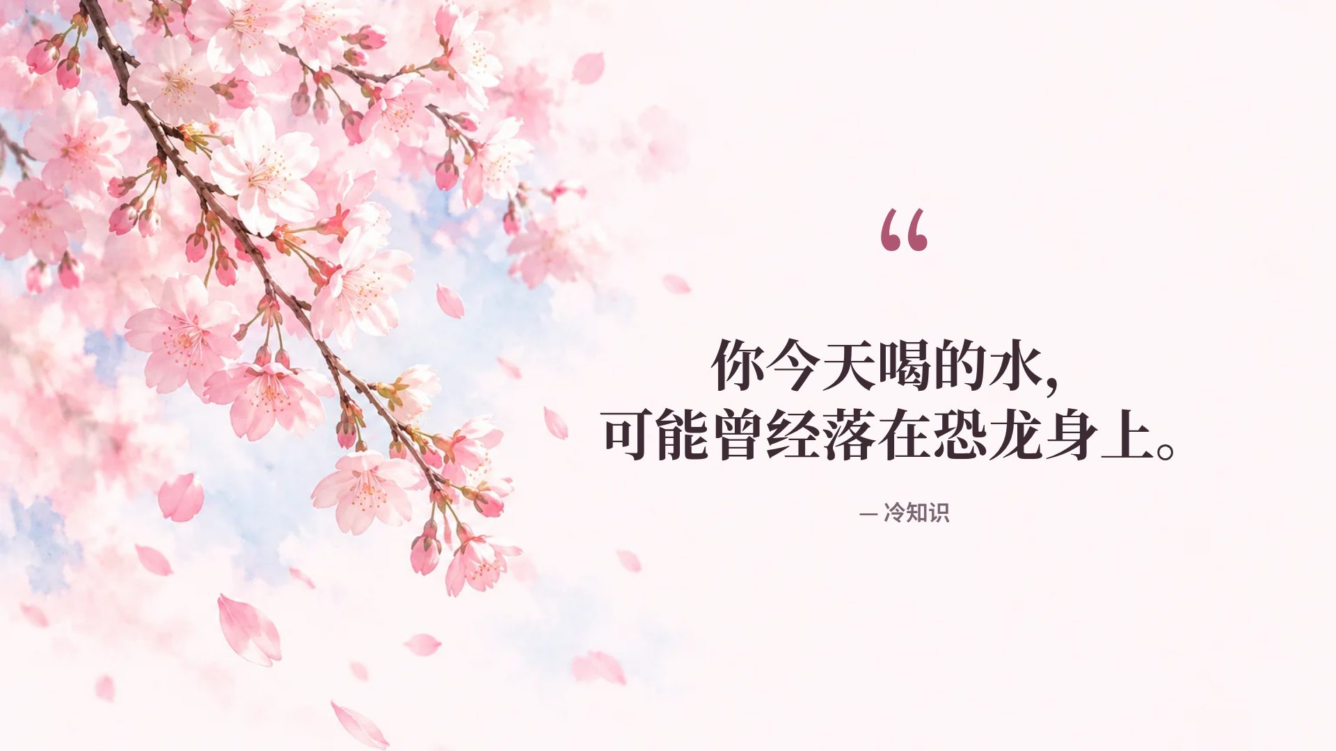 樱花粉彩 第 11 页