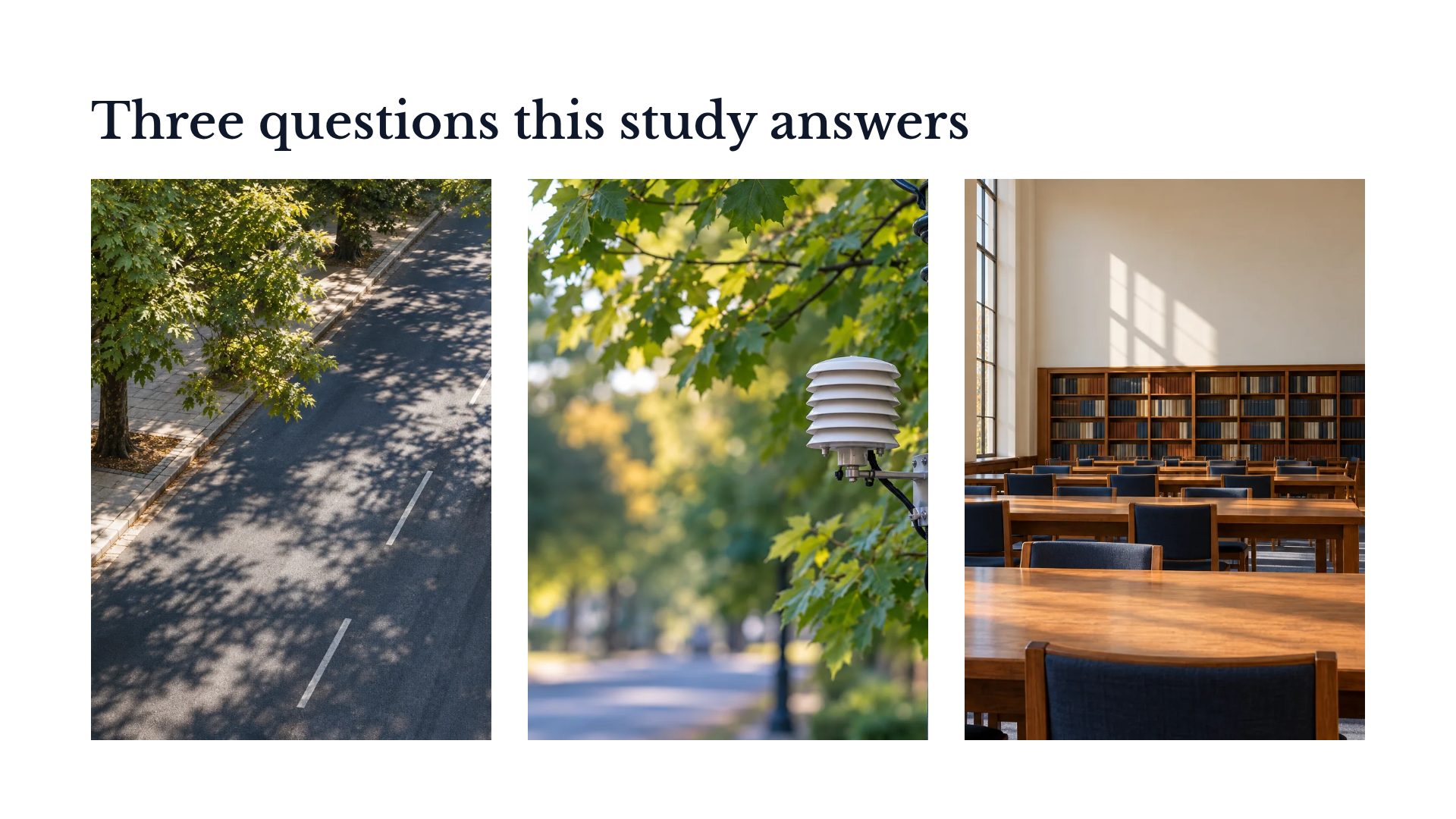 Scholar Blue slide 14