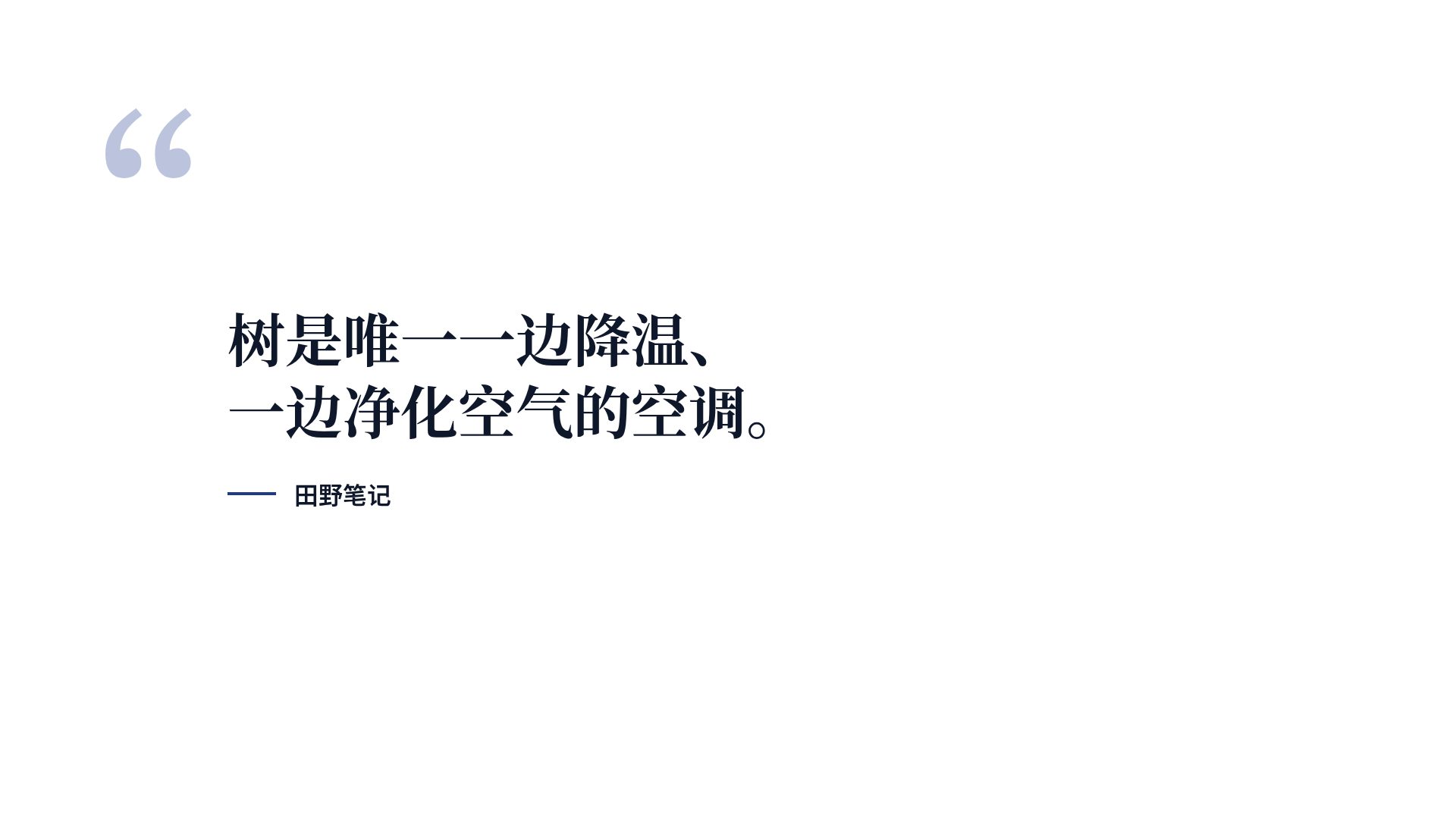 学术蓝 第 11 页