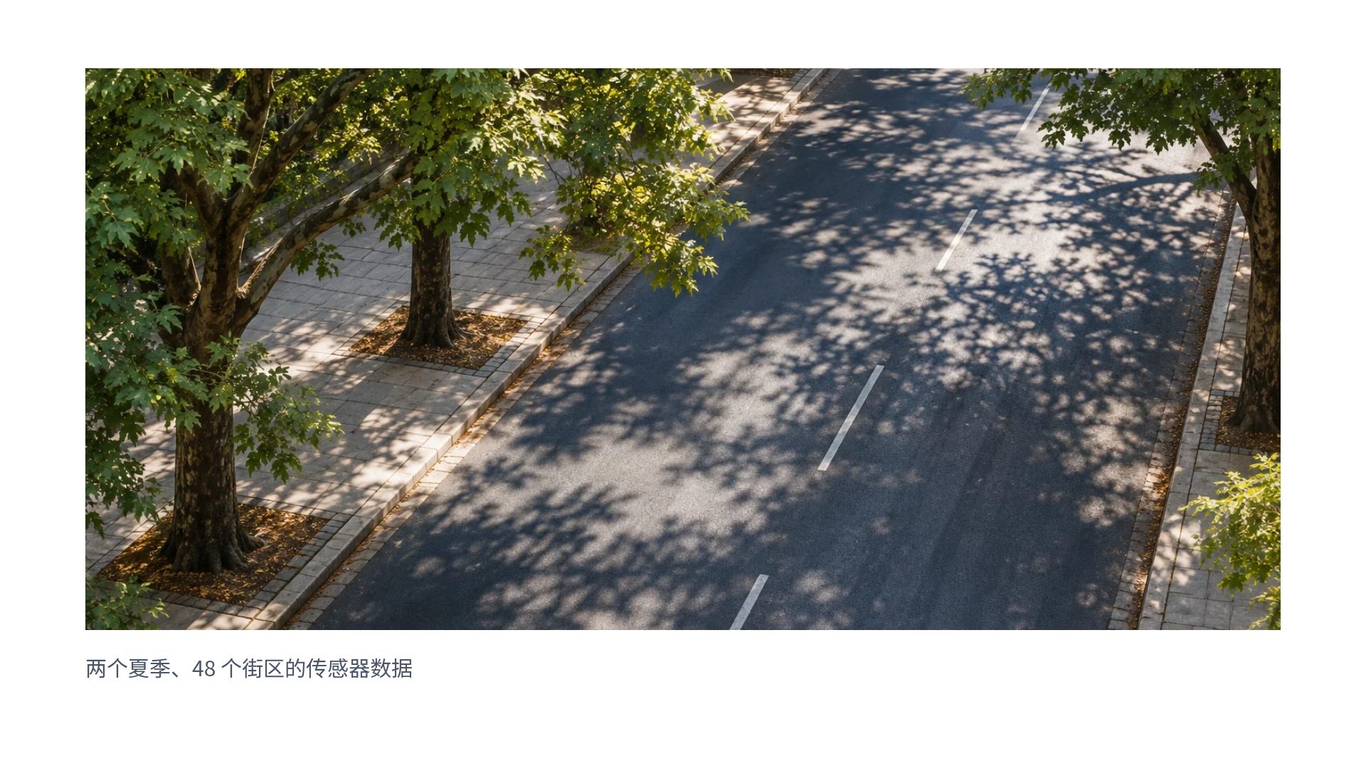 学术蓝 第 13 页