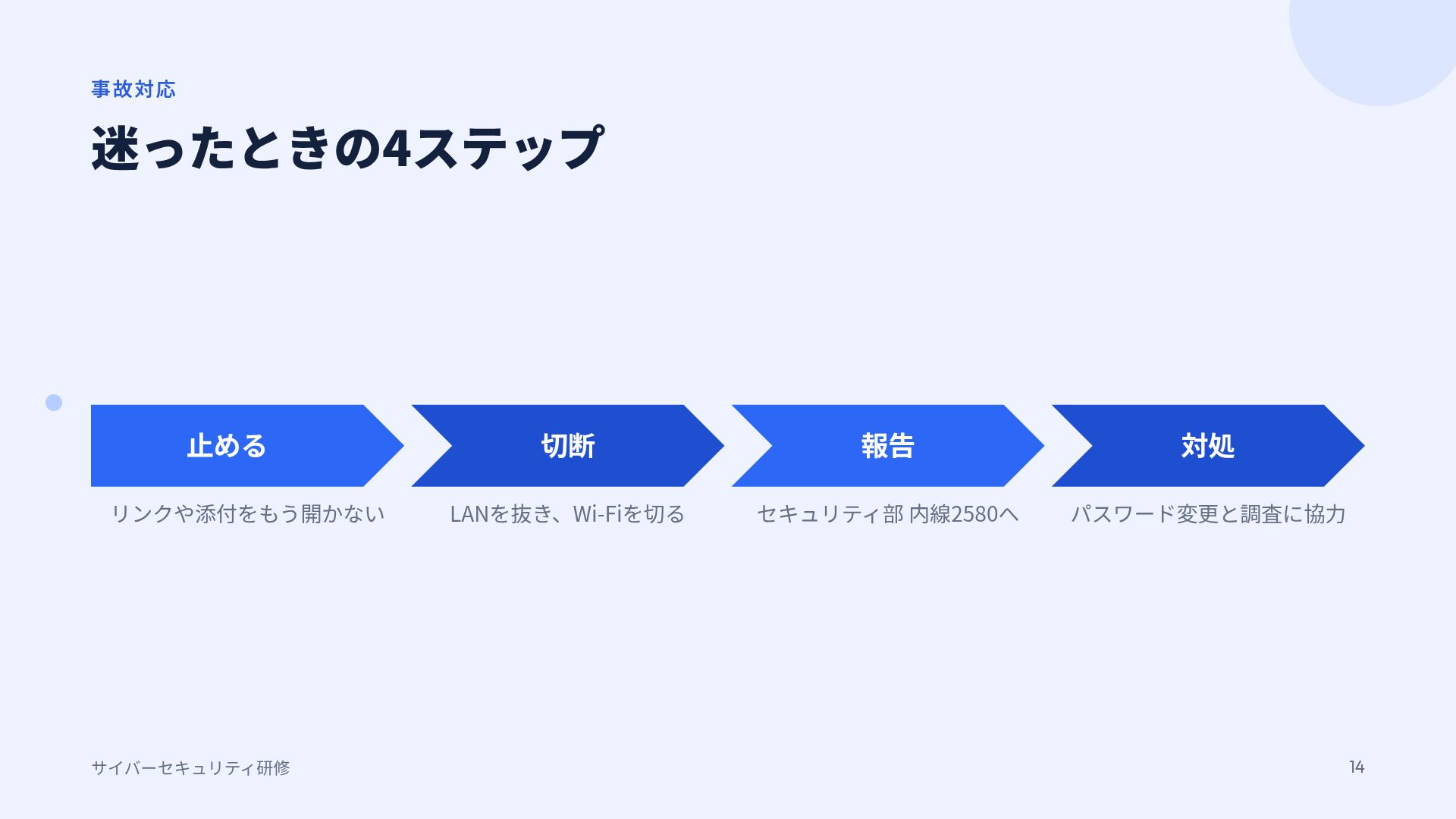 セキュアブルー スライド 12