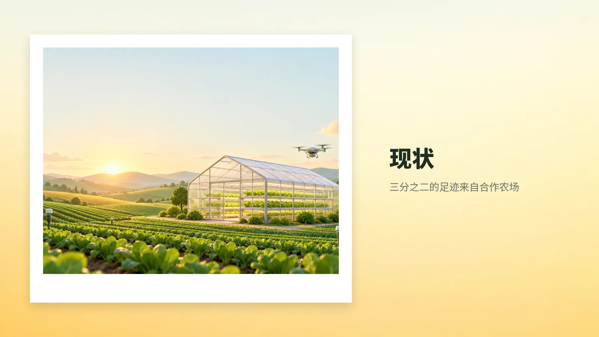 智慧农业 第 13 页