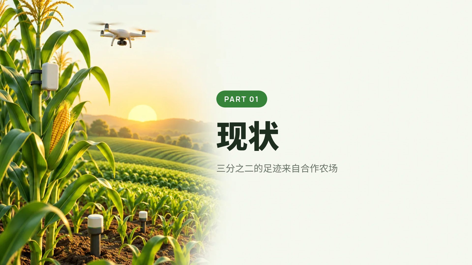 智慧农业 第 4 页