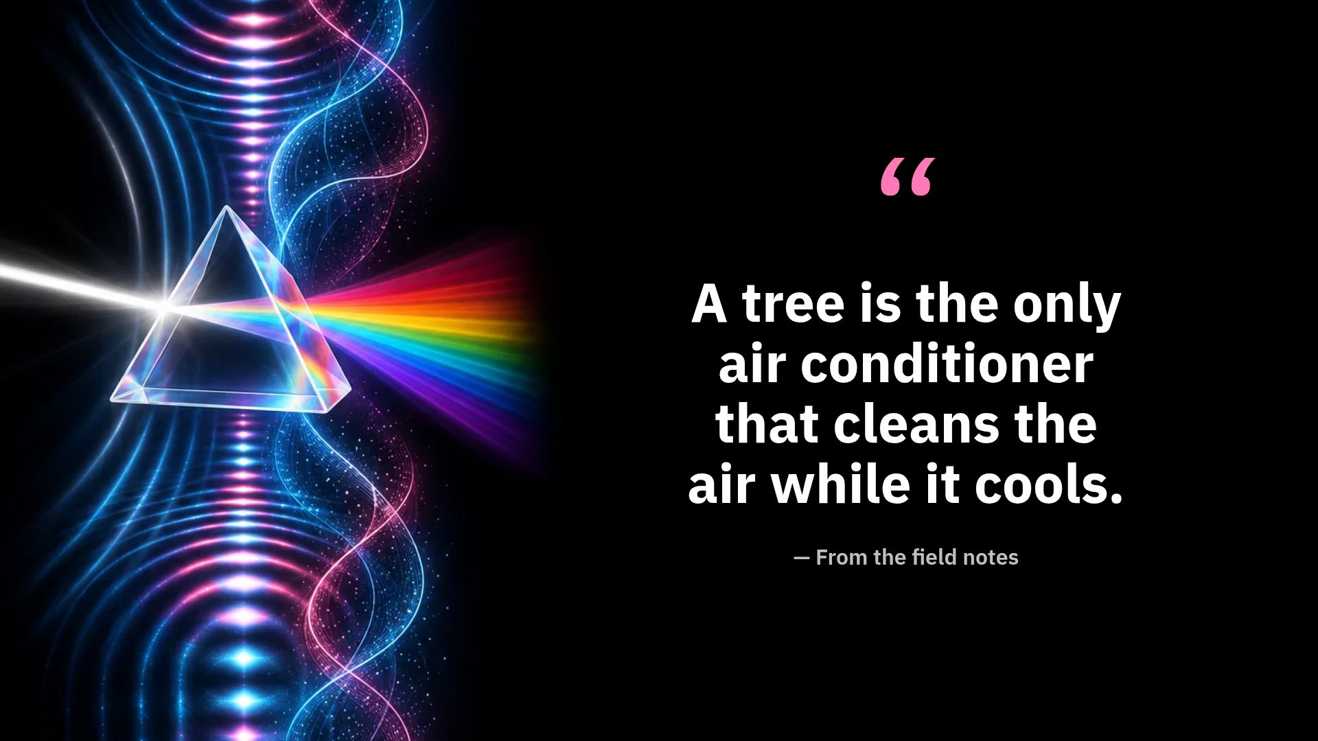Spectrum slide 11