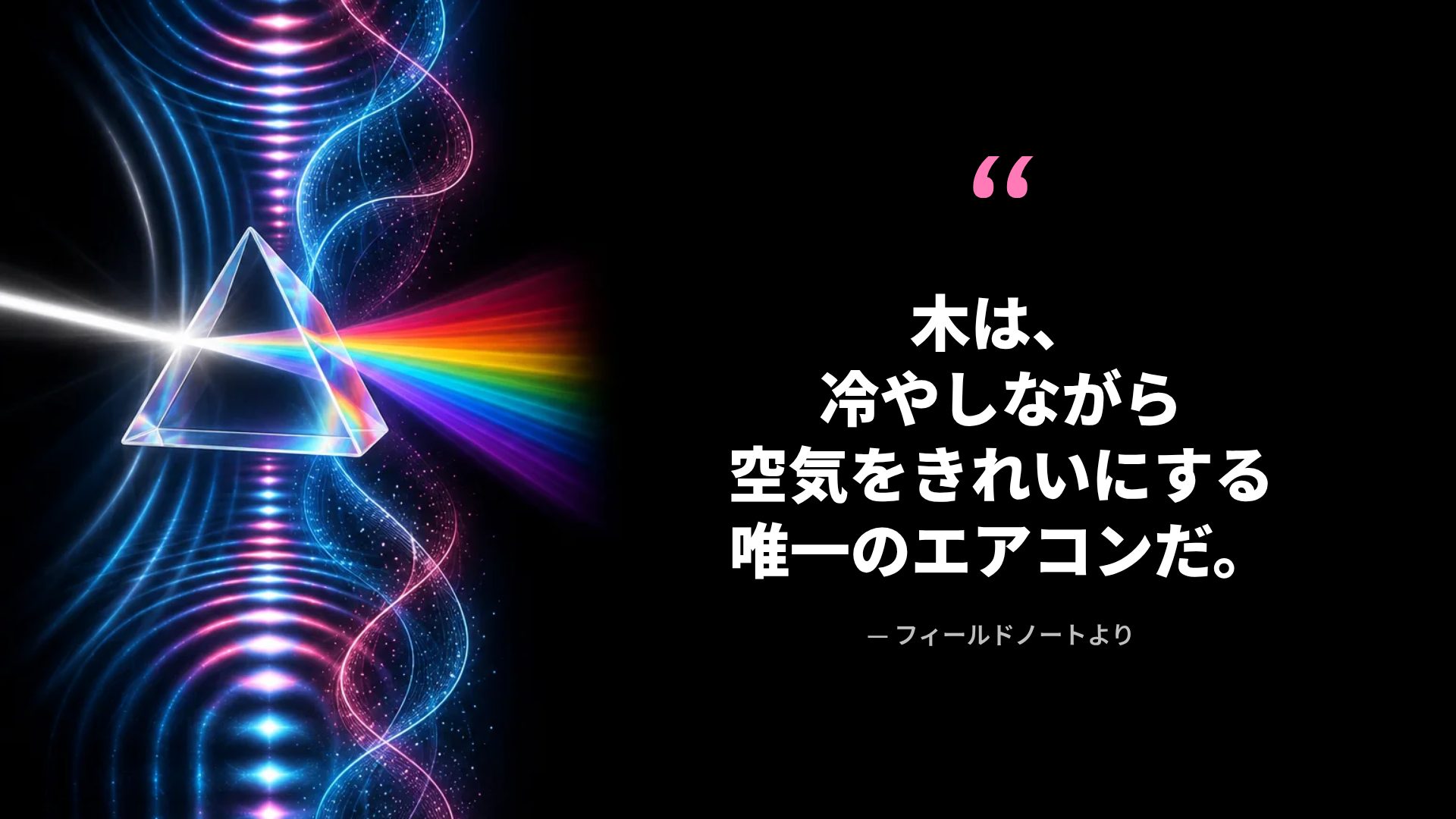 スペクトル スライド 11