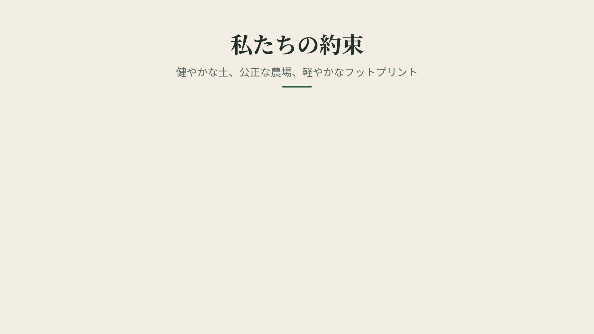 テラ スライド 15