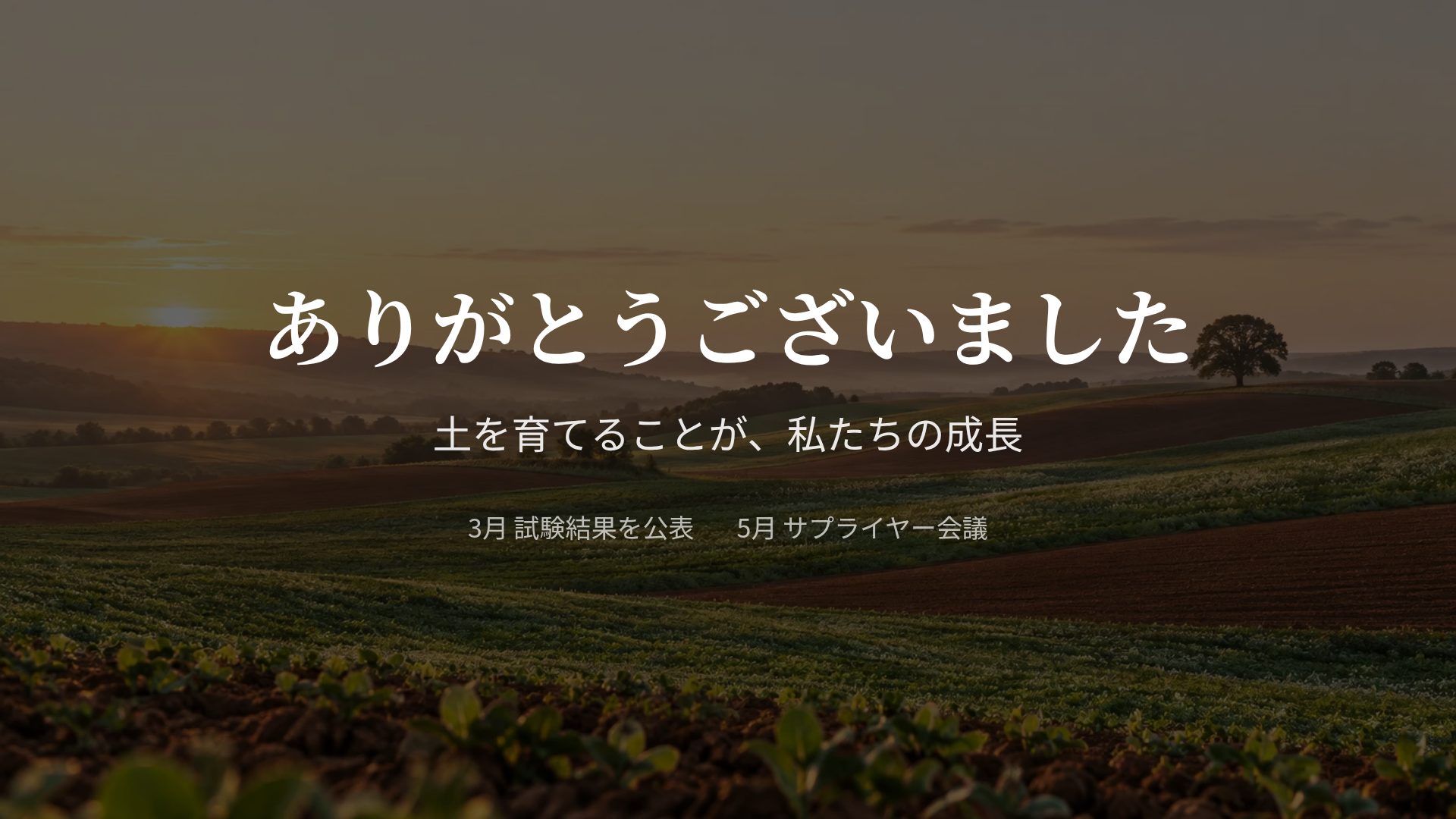テラ スライド 18