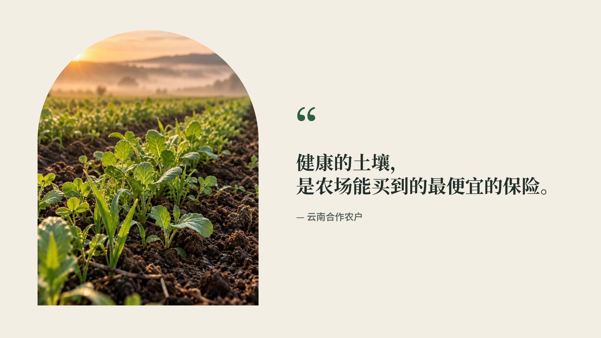 大地 第 11 页