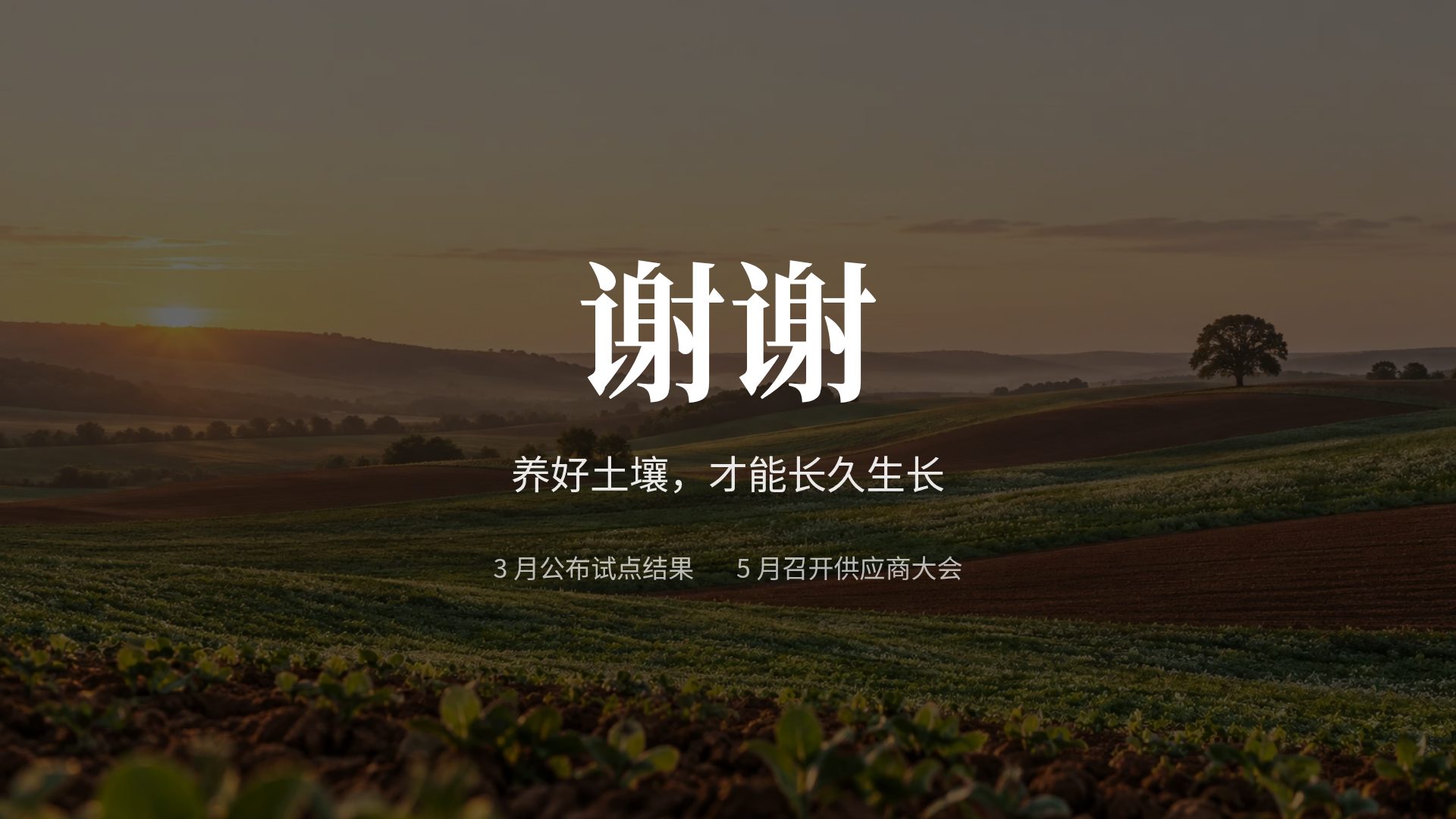 大地 第 18 页
