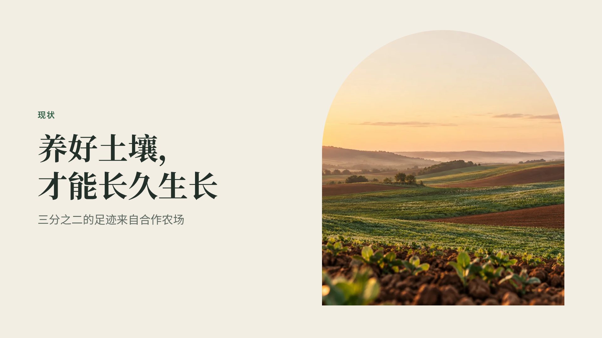 大地 第 7 页