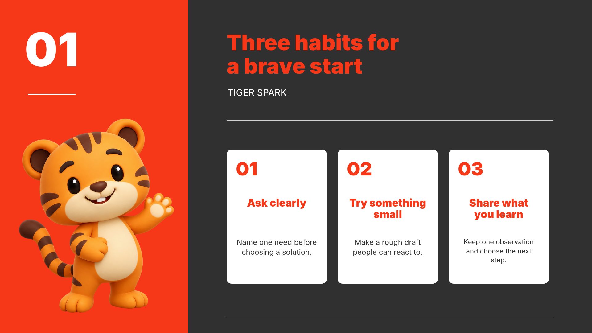 Tiger Spark slide 7