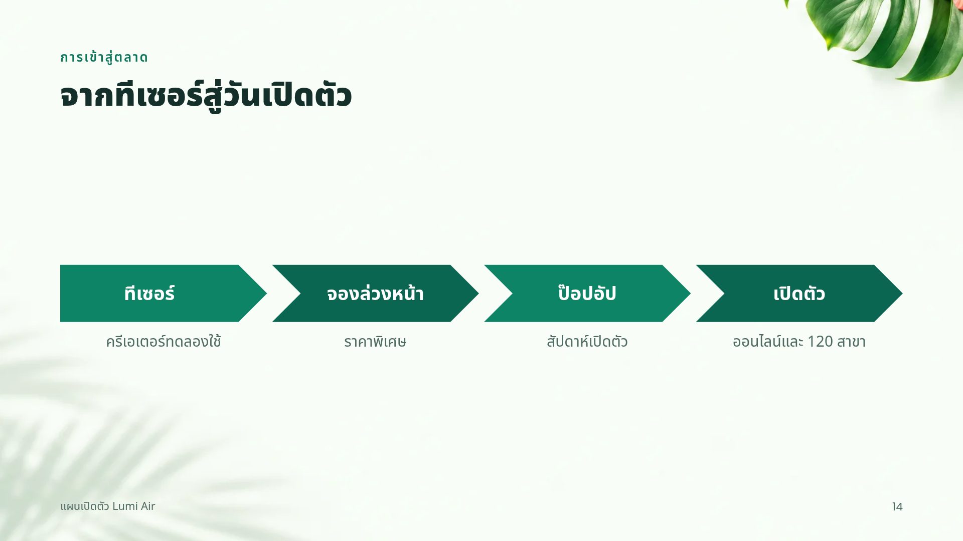 ทรอปิคอลสดใส สไลด์ 12